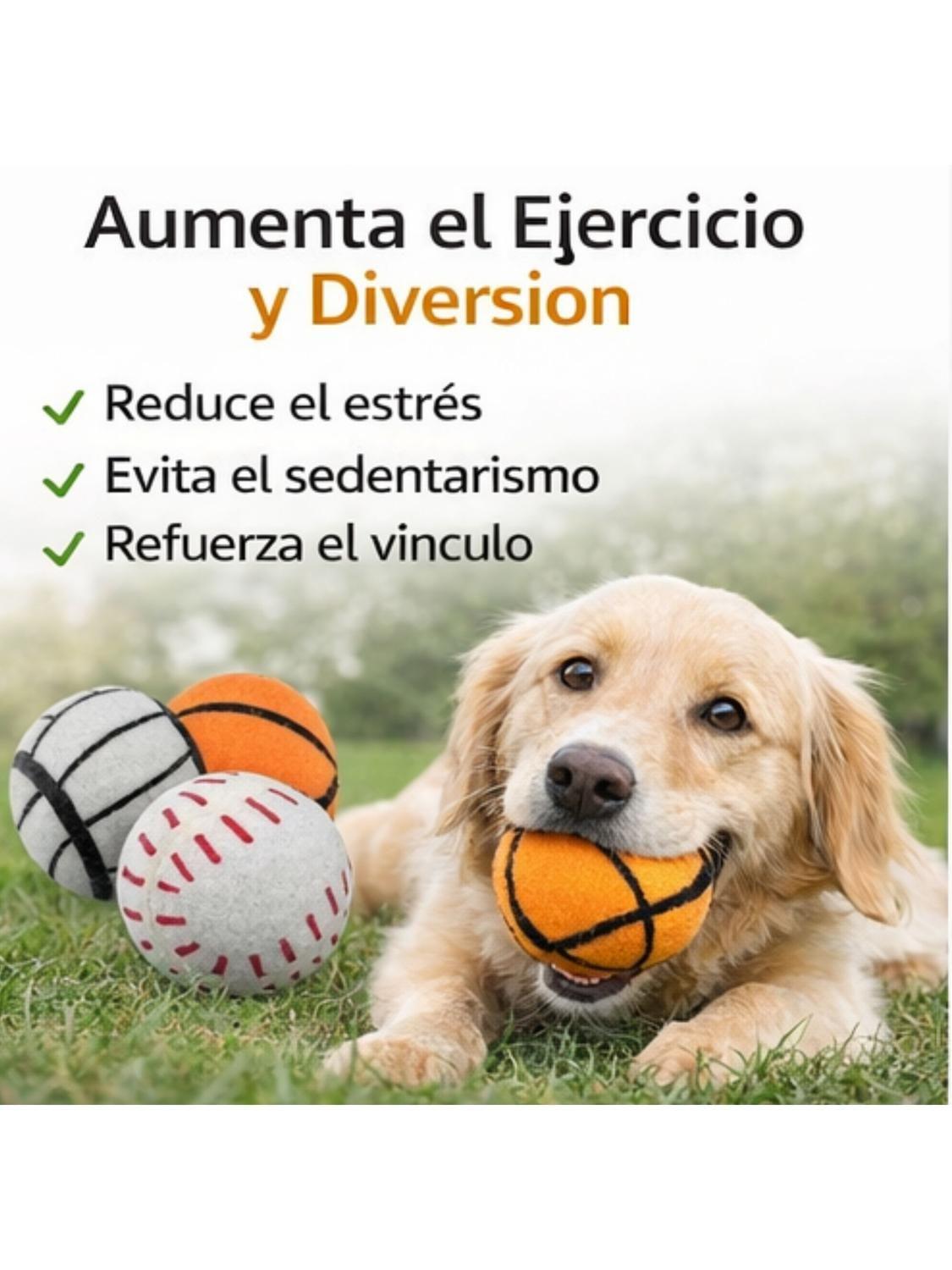 Pack 3 Pelotas con Sonido para Perros 7.6 cm-3