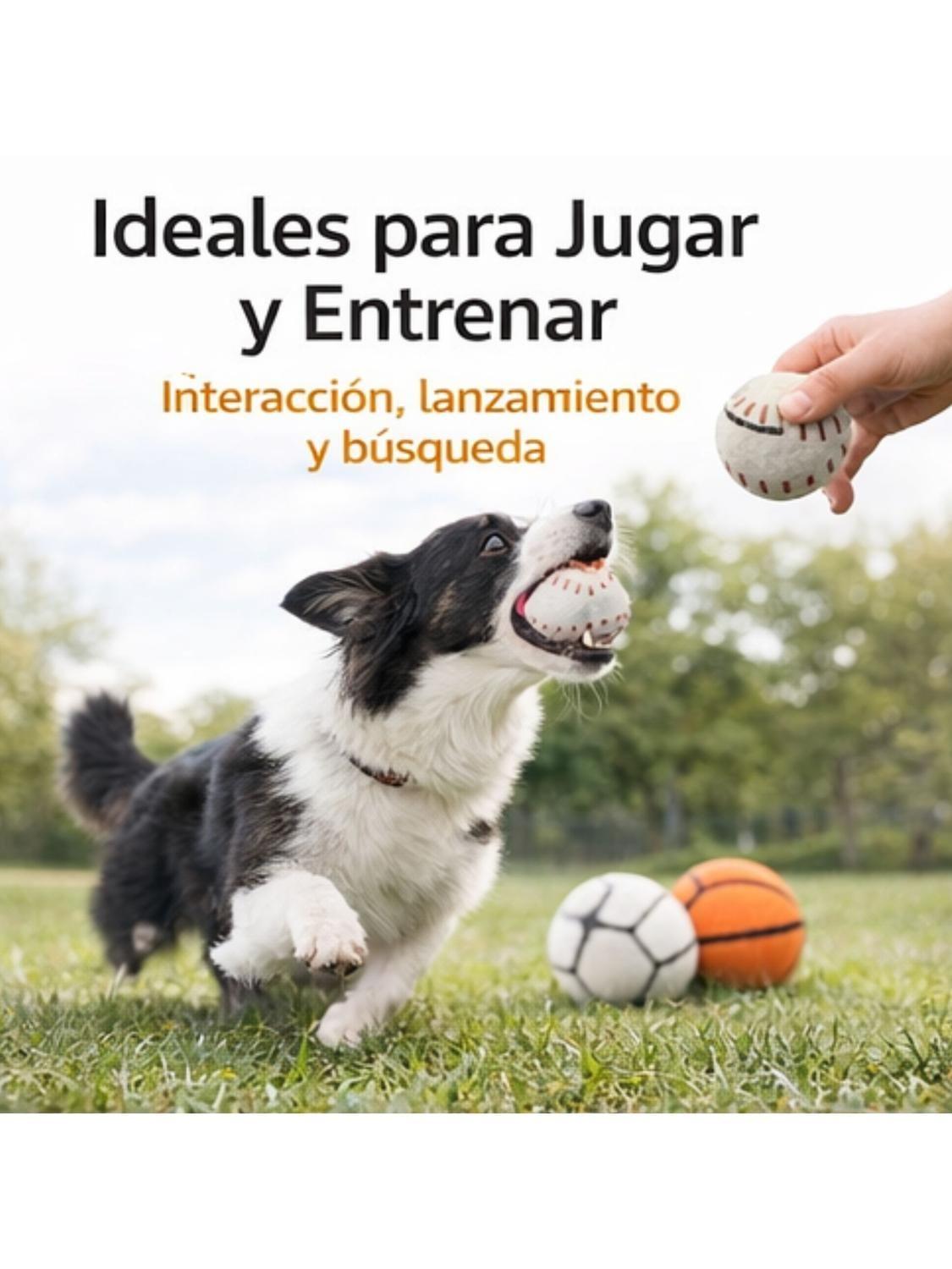 Pack 3 Pelotas con Sonido para Perros 7.6 cm-6