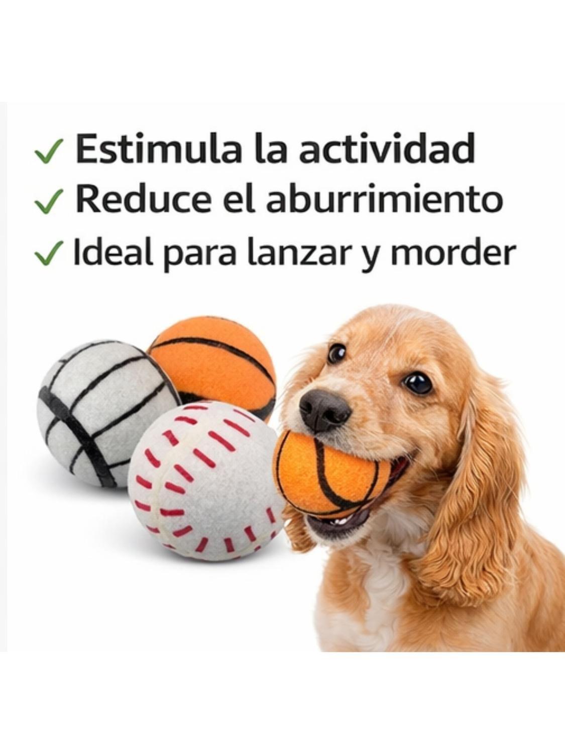 Pack 3 Pelotas con Sonido para Perros 7.6 cm-8