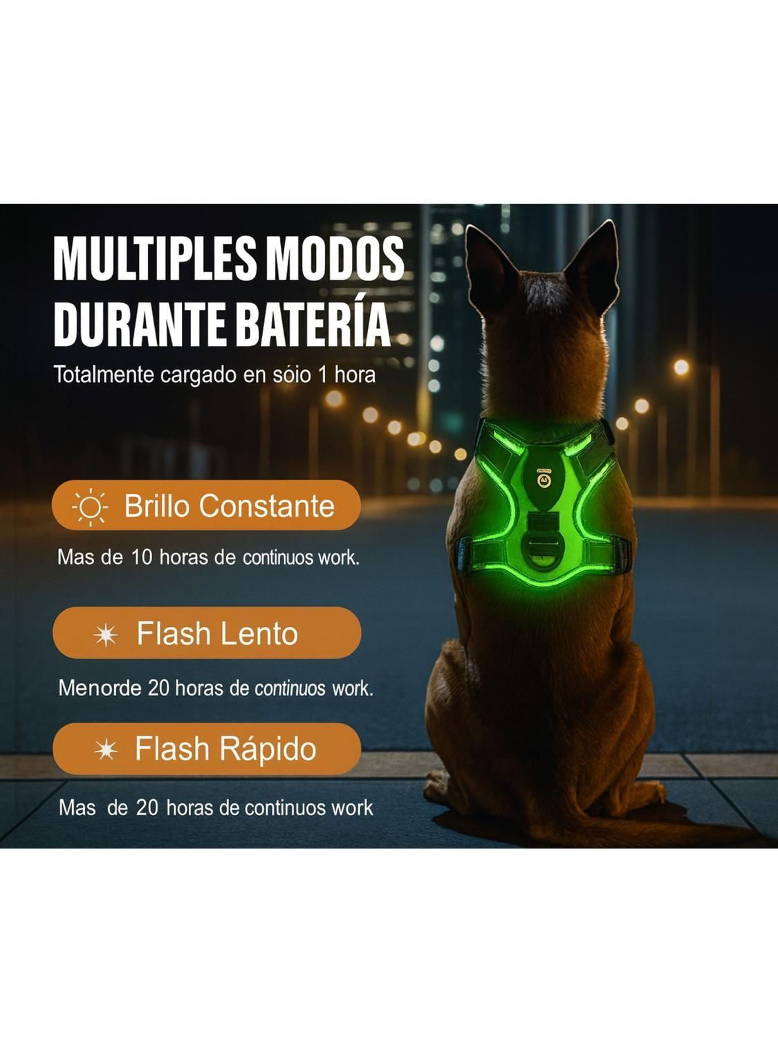 Arnés Luz LED Azul para Perro Mediano USB-C Talla M-2