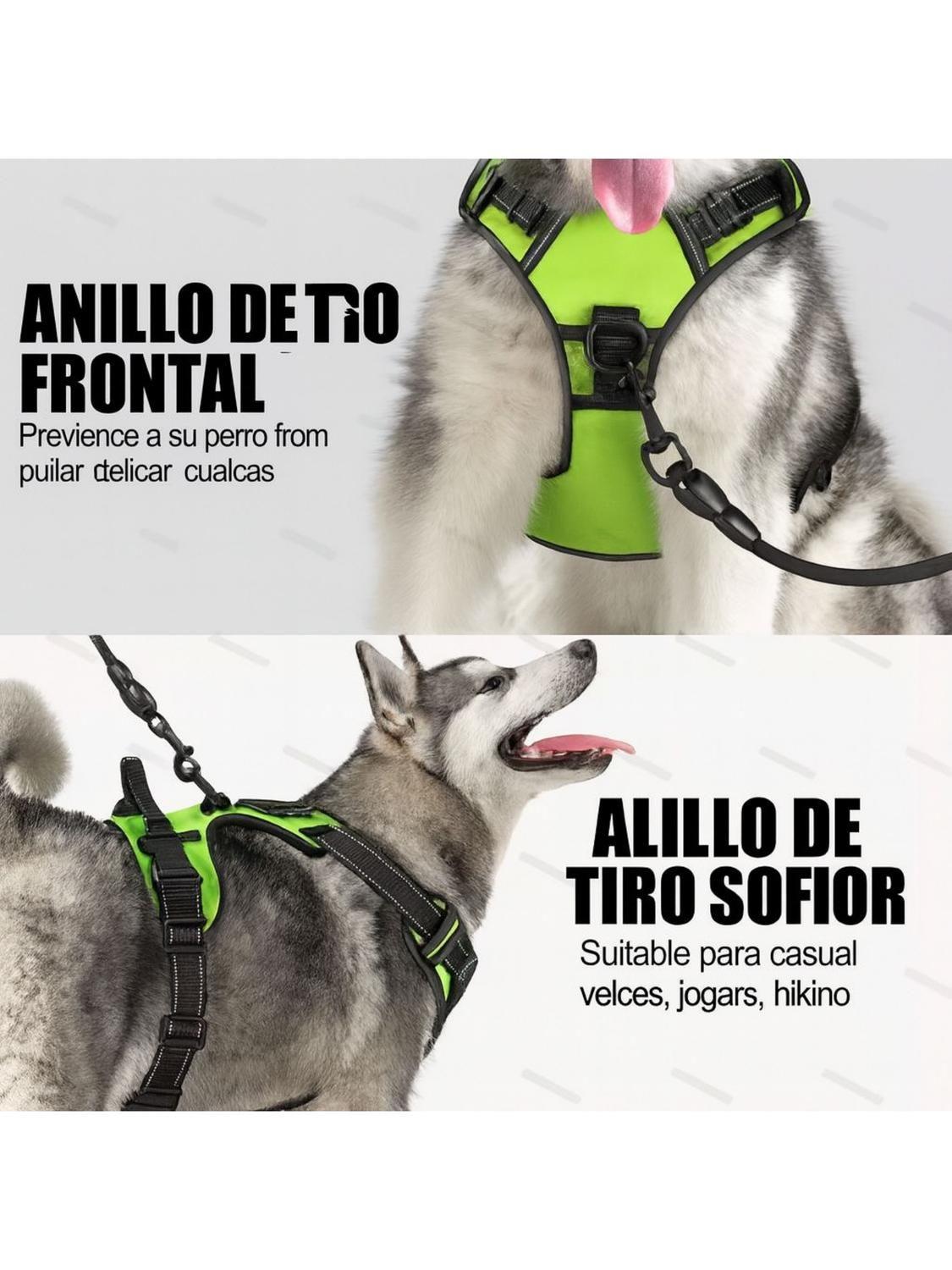 Arnés Luz LED Azul para Perro Mediano USB-C Talla M-4