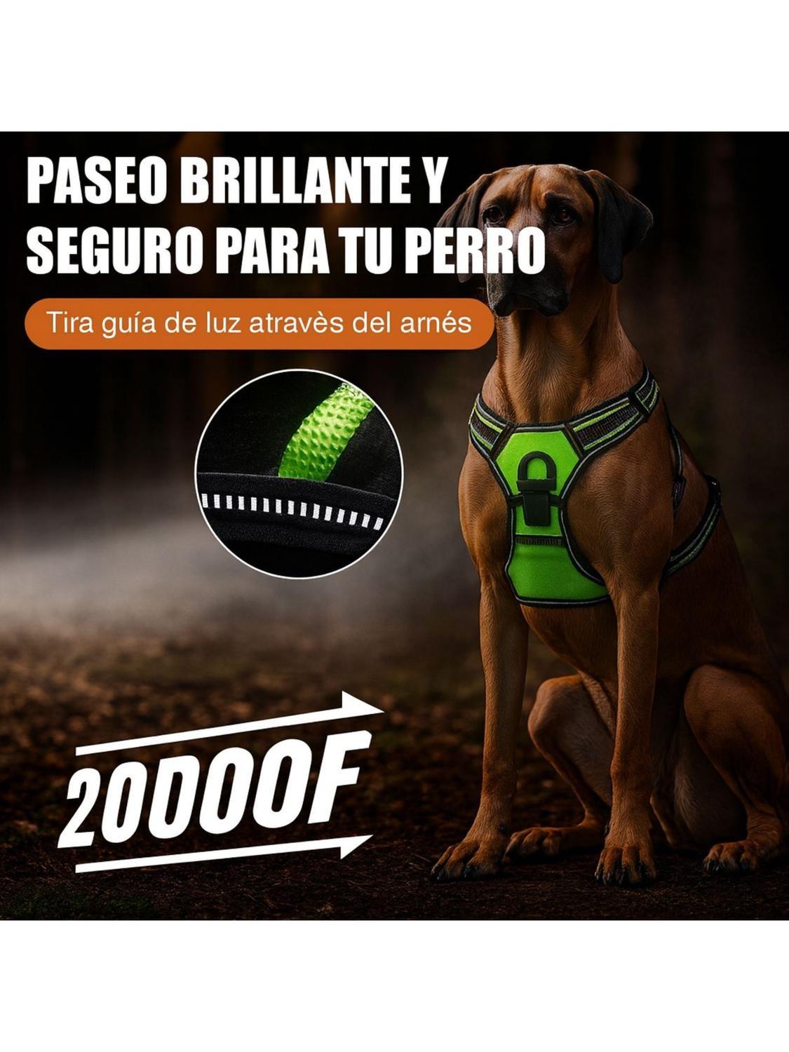 Arnés Luz LED Azul para Perro Mediano USB-C Talla M-5