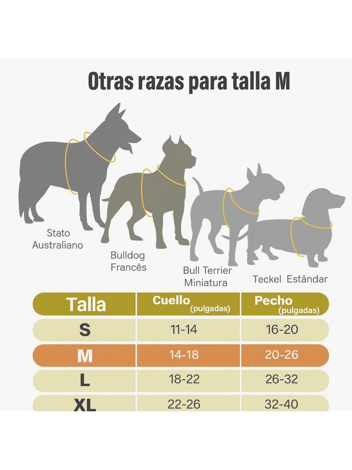 Arnés Luz LED Azul para Perro Mediano USB-C Talla M-6