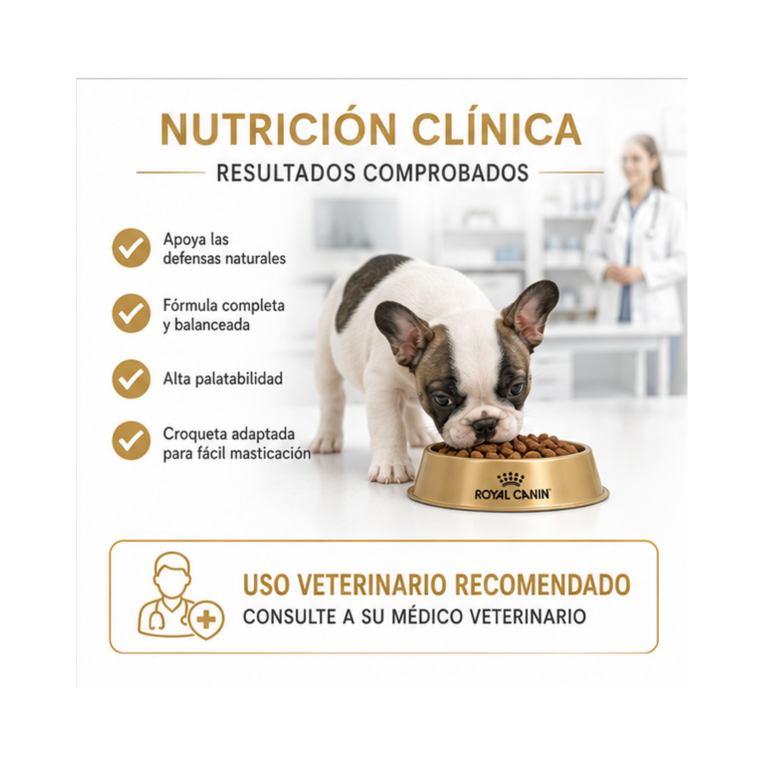 Royal Canin Bulldog Frances Puppy Saco 3kg-3
