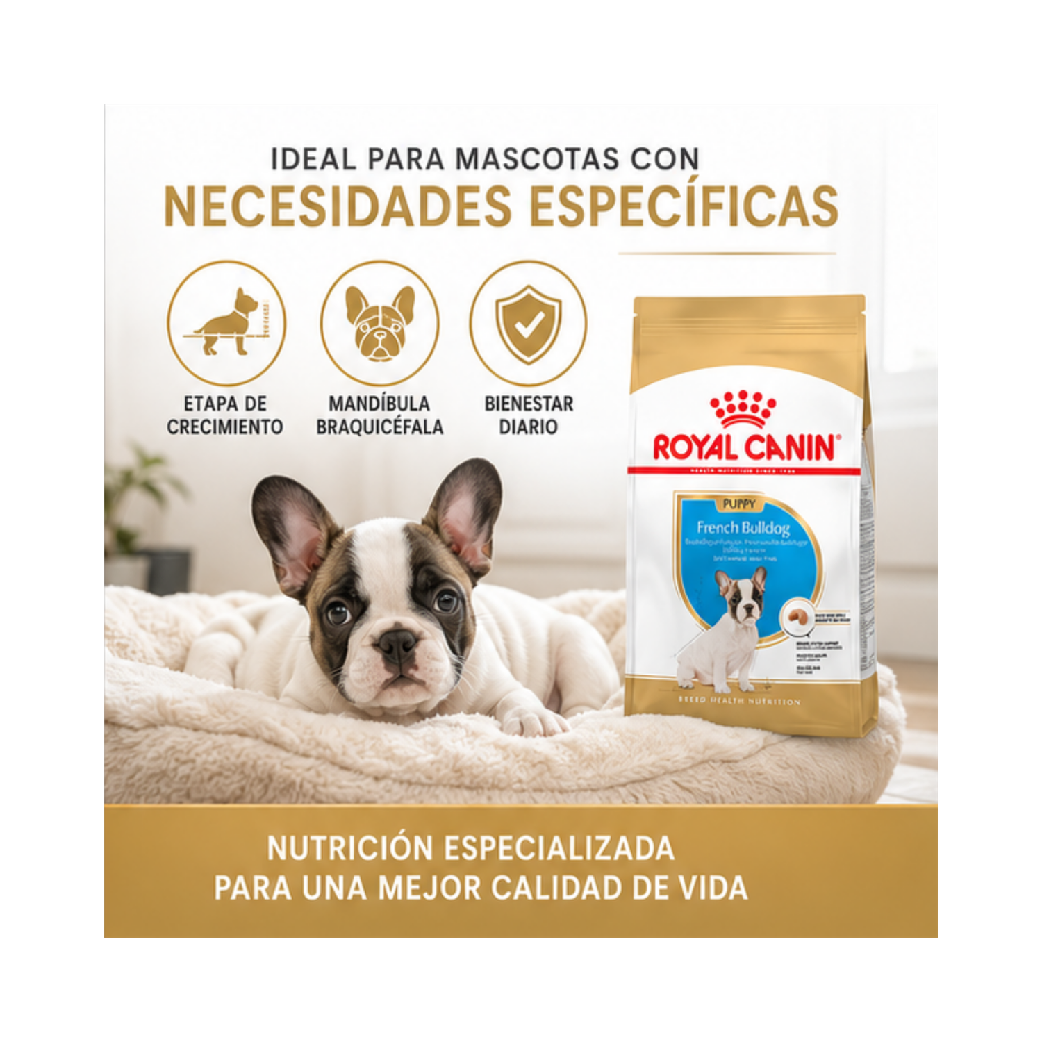 Royal Canin Bulldog Frances Puppy Saco 3kg-4