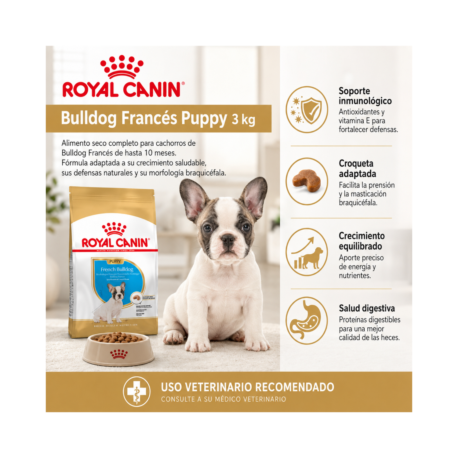 Royal Canin Bulldog Frances Puppy Saco 3kg-5