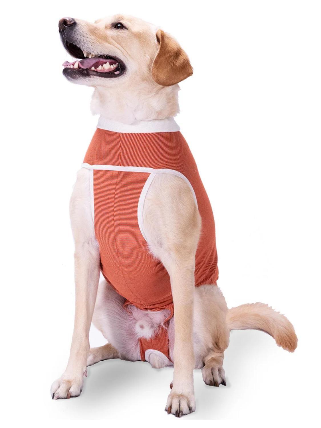 BODY COBRE KIMBA TRADICIONAL TALLA 5 (7,5 A 10 KG)-0