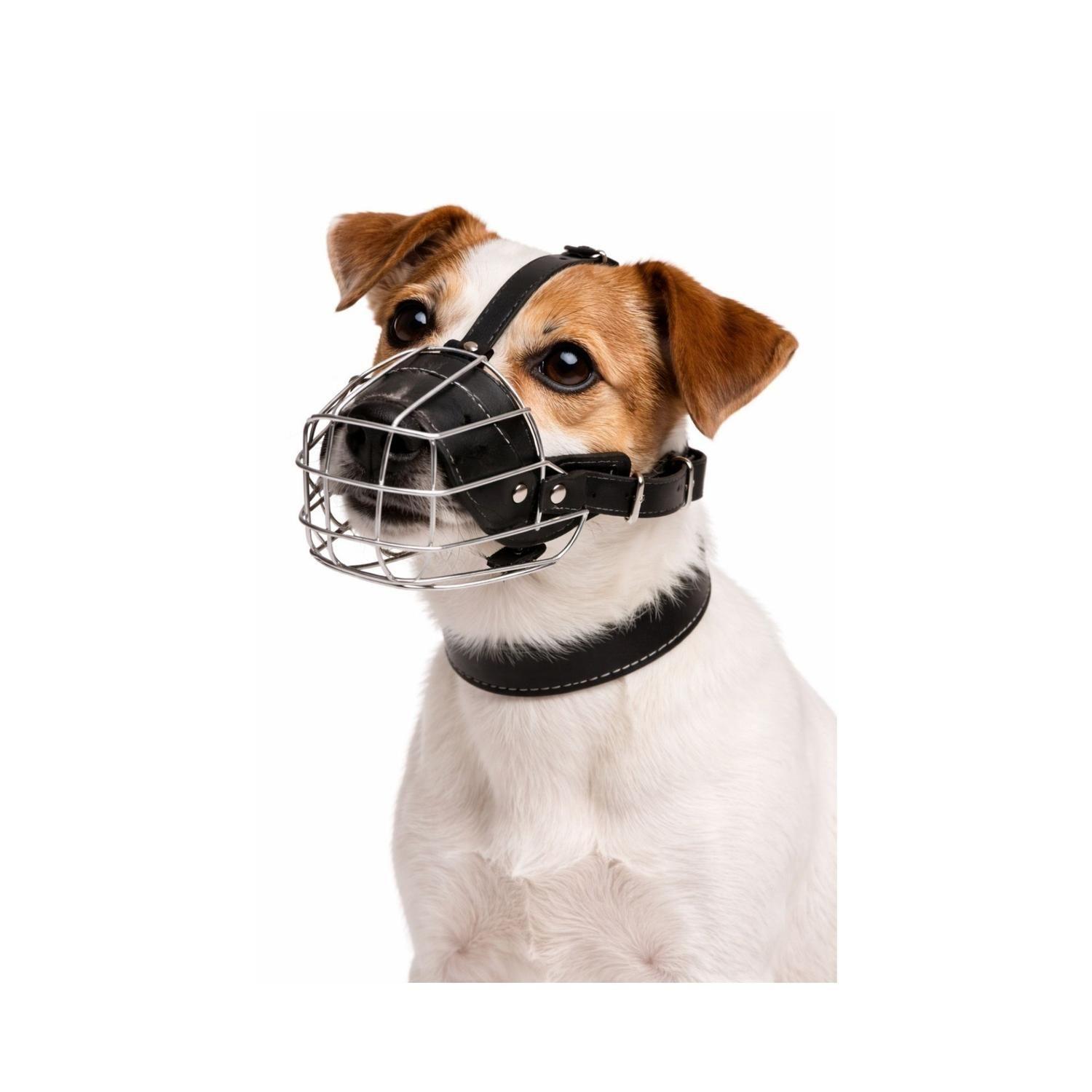 Bozal Perro Acero y Cuero Talla M (1) Perros 4 a 10 kg-0