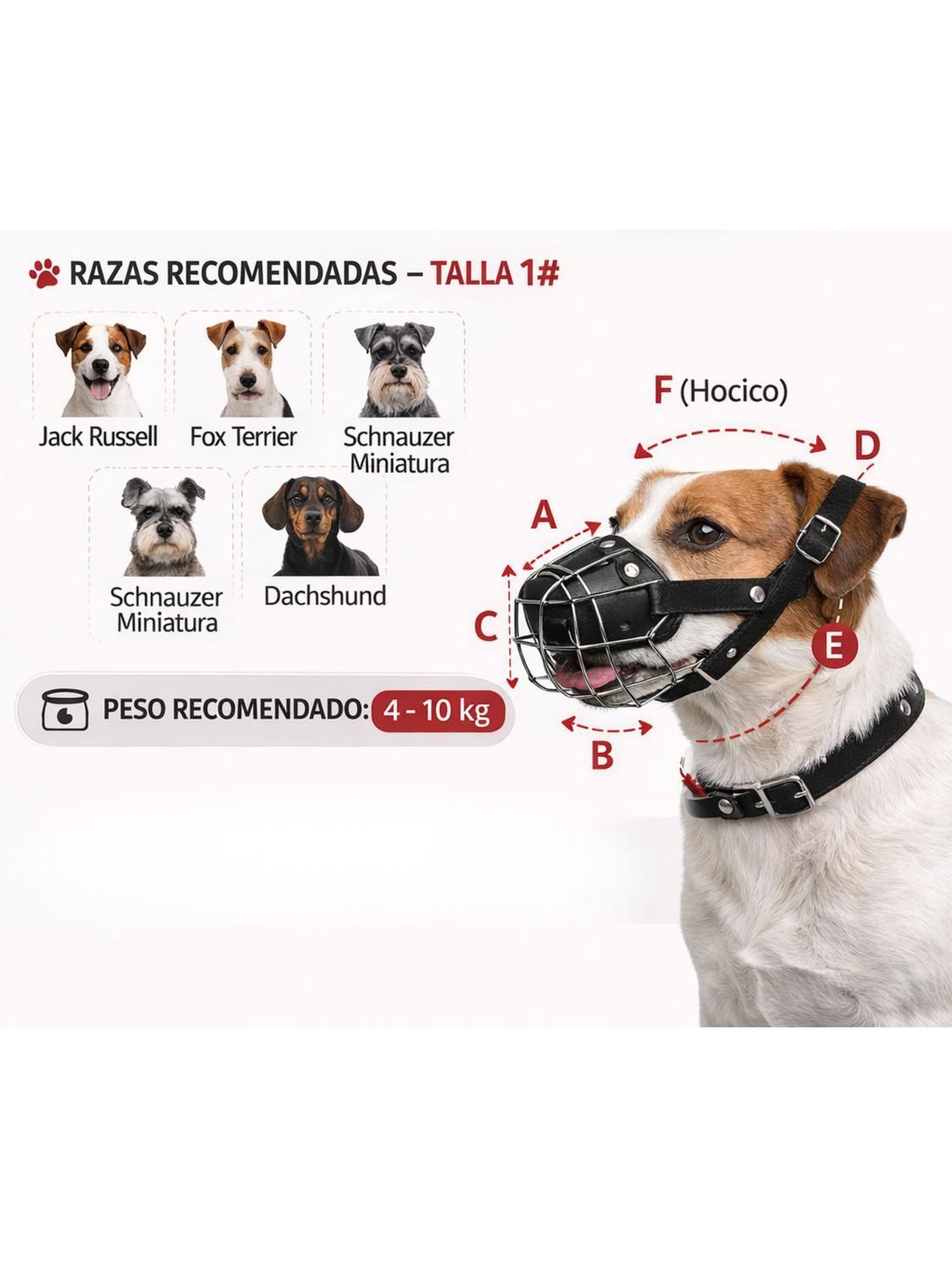 Bozal Perro Acero y Cuero Talla M (1) Perros 4 a 10 kg-1