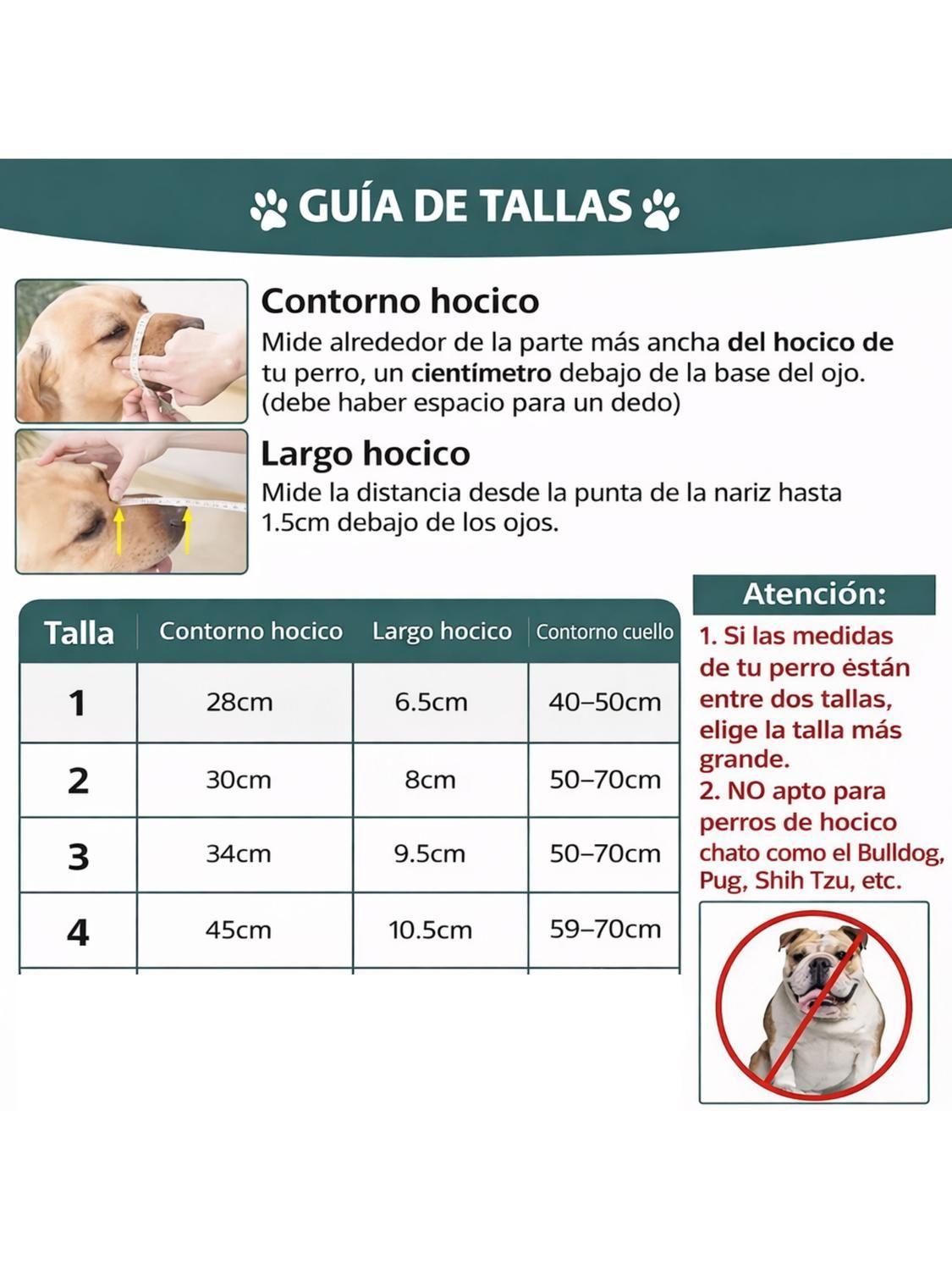 Bozal Perro Acero y Cuero Talla M (1) Perros 4 a 10 kg-2