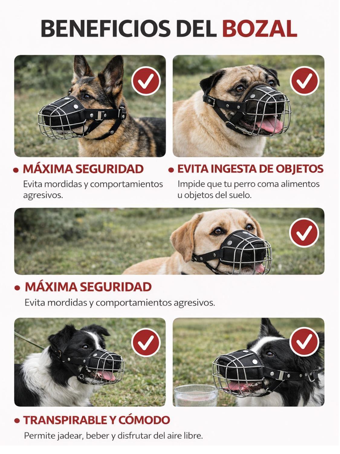 Bozal Perro Acero y Cuero Talla XL (3) Perros 20 a 35 kg-4