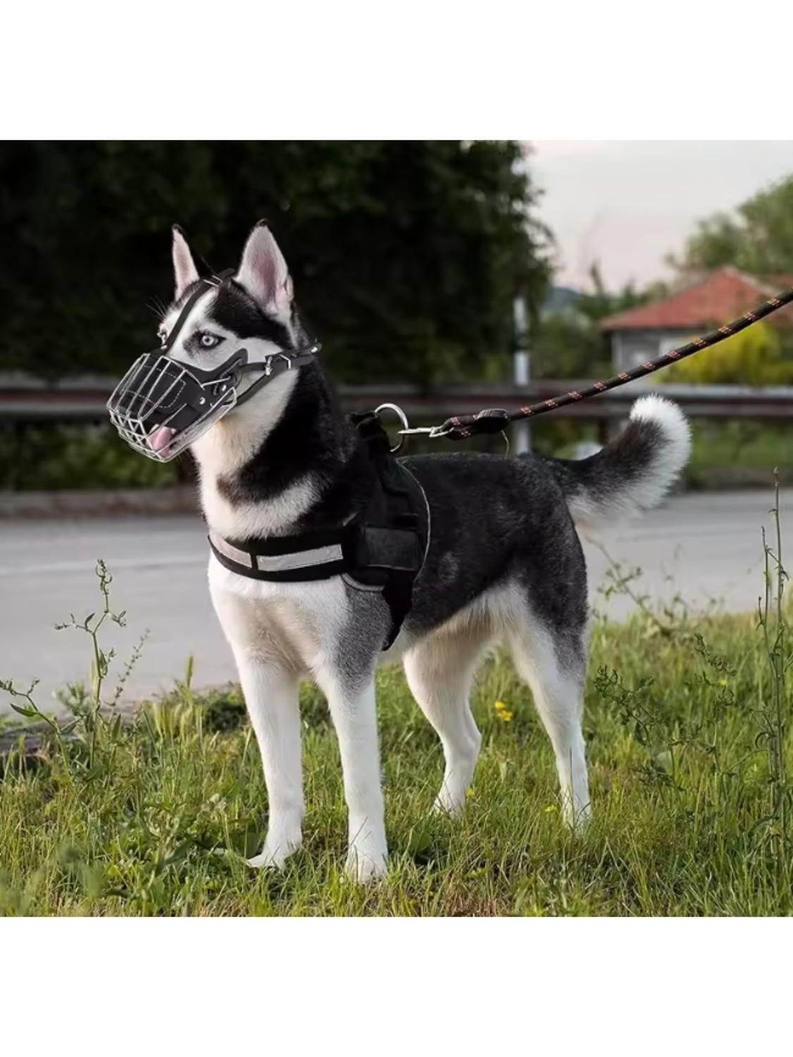 Bozal Perro Acero y Cuero Talla XL (3) Perros 20 a 35 kg-7