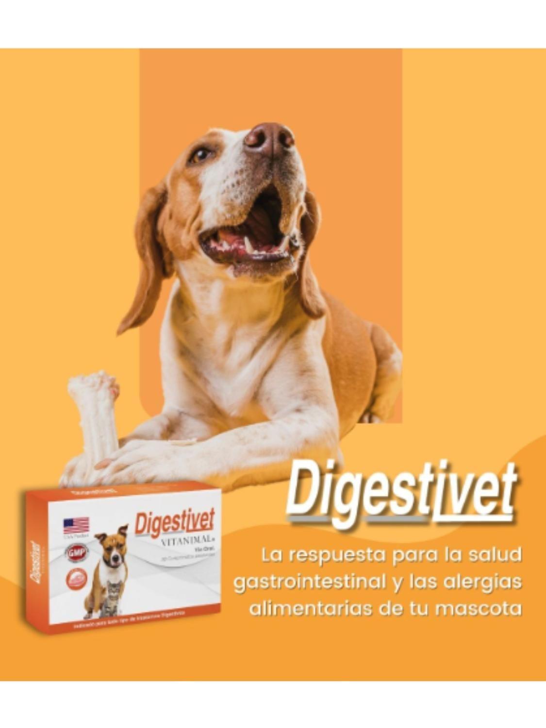 Digestivet - 10 Comprimidos-3