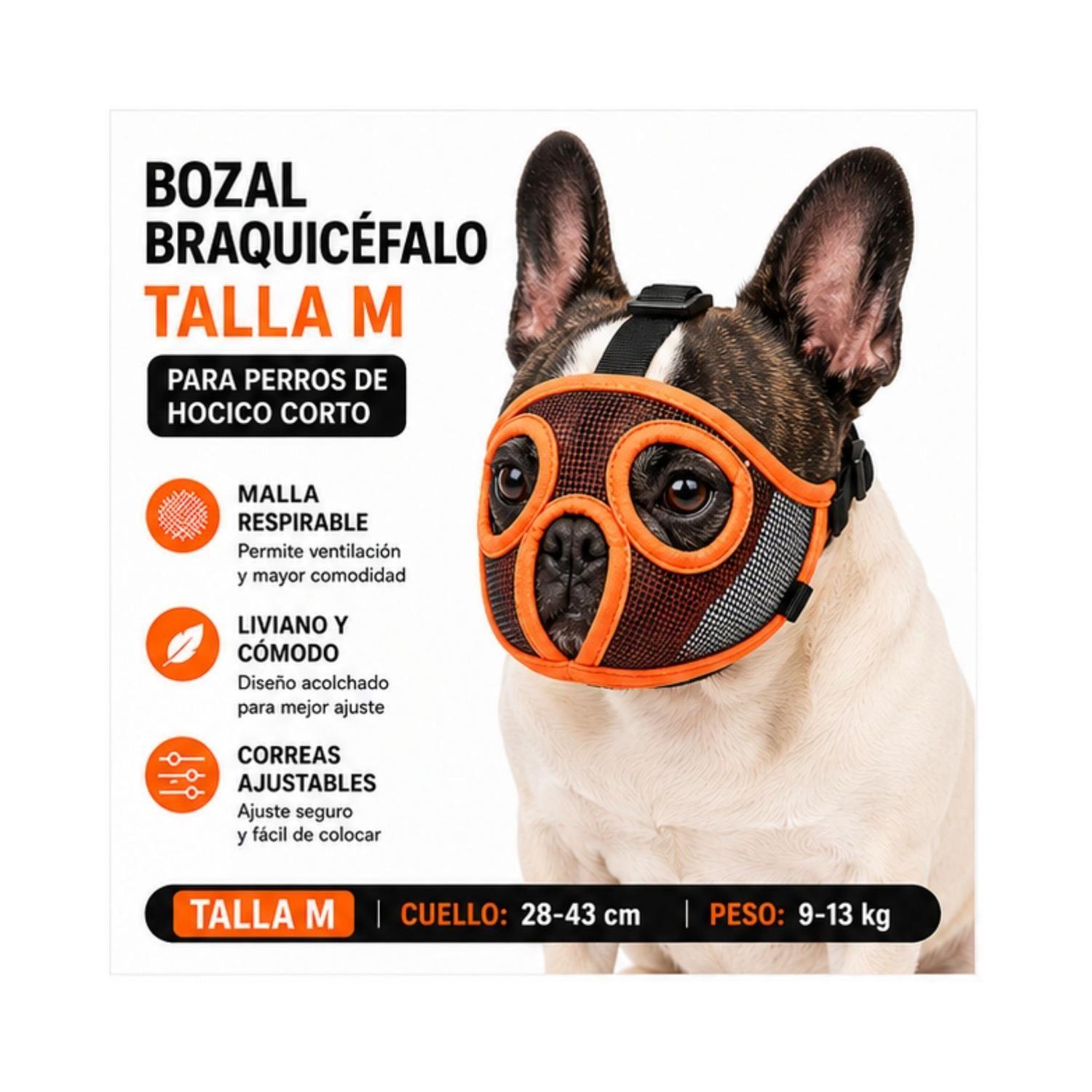 Bozal Perro Braquicéfalo M Bulldog Francés 9-13kg-3