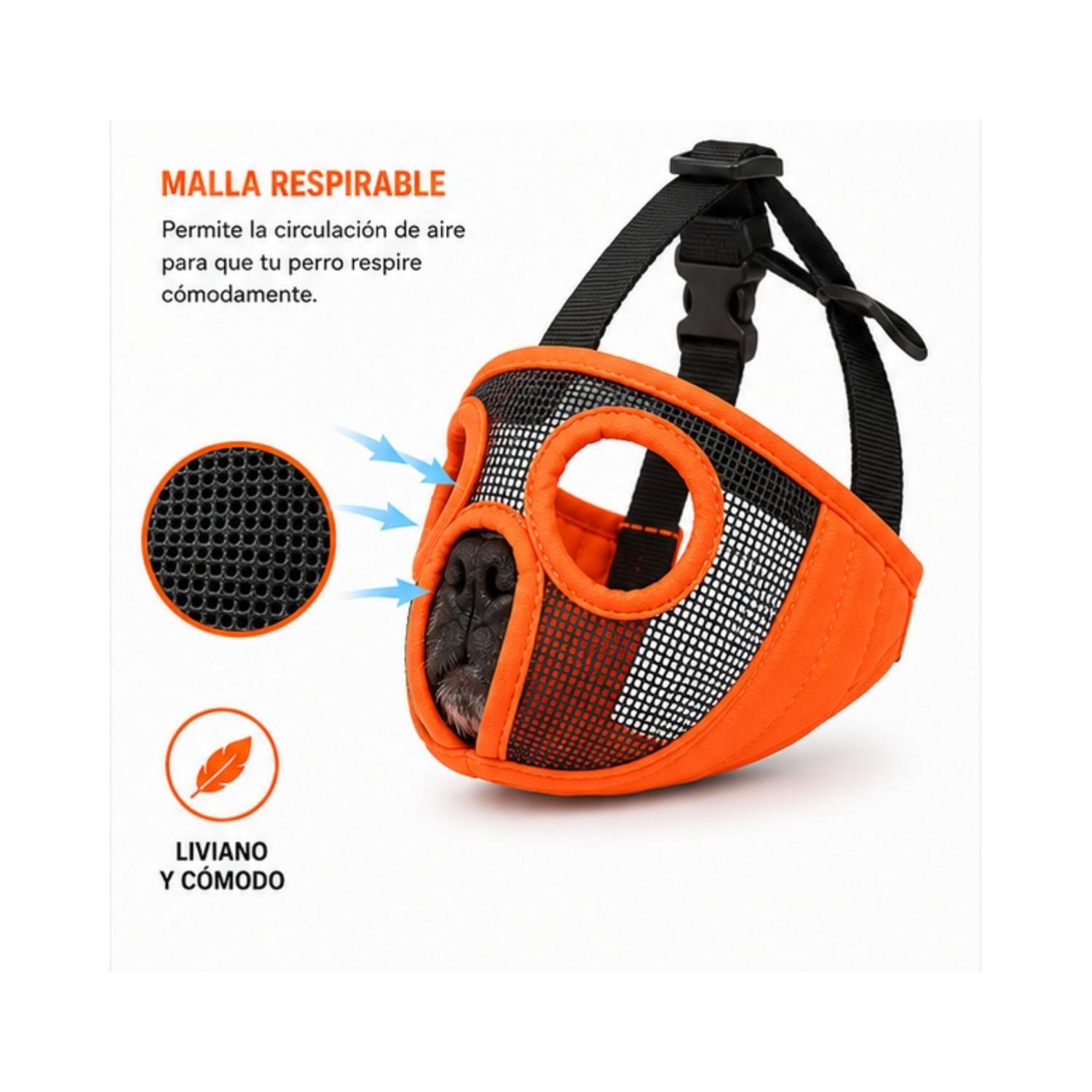 Bozal Perro Braquicéfalo M Bulldog Francés 9-13kg-5