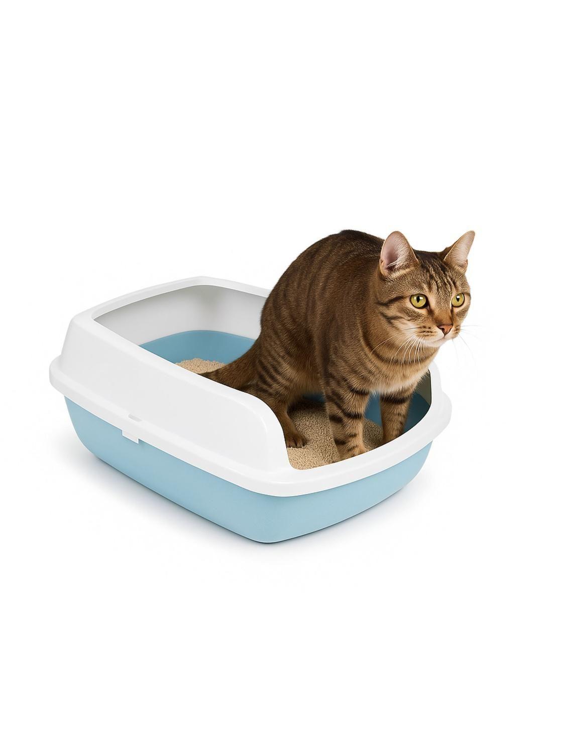 Arenero Sanitario Gato L 50,5x37,5x19,5 cm-3