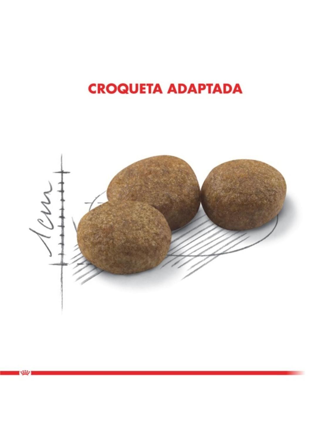 Royal Canin Sterilised 7+ Gatos Adultos 1.5 kg | Castrados-6
