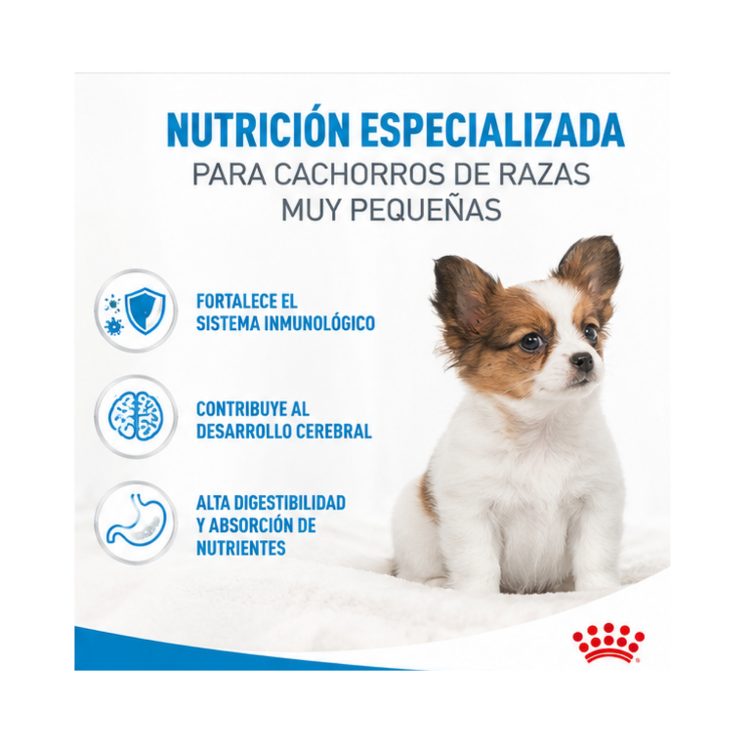 Royal Canin X-small Puppy 1 Kg.-1