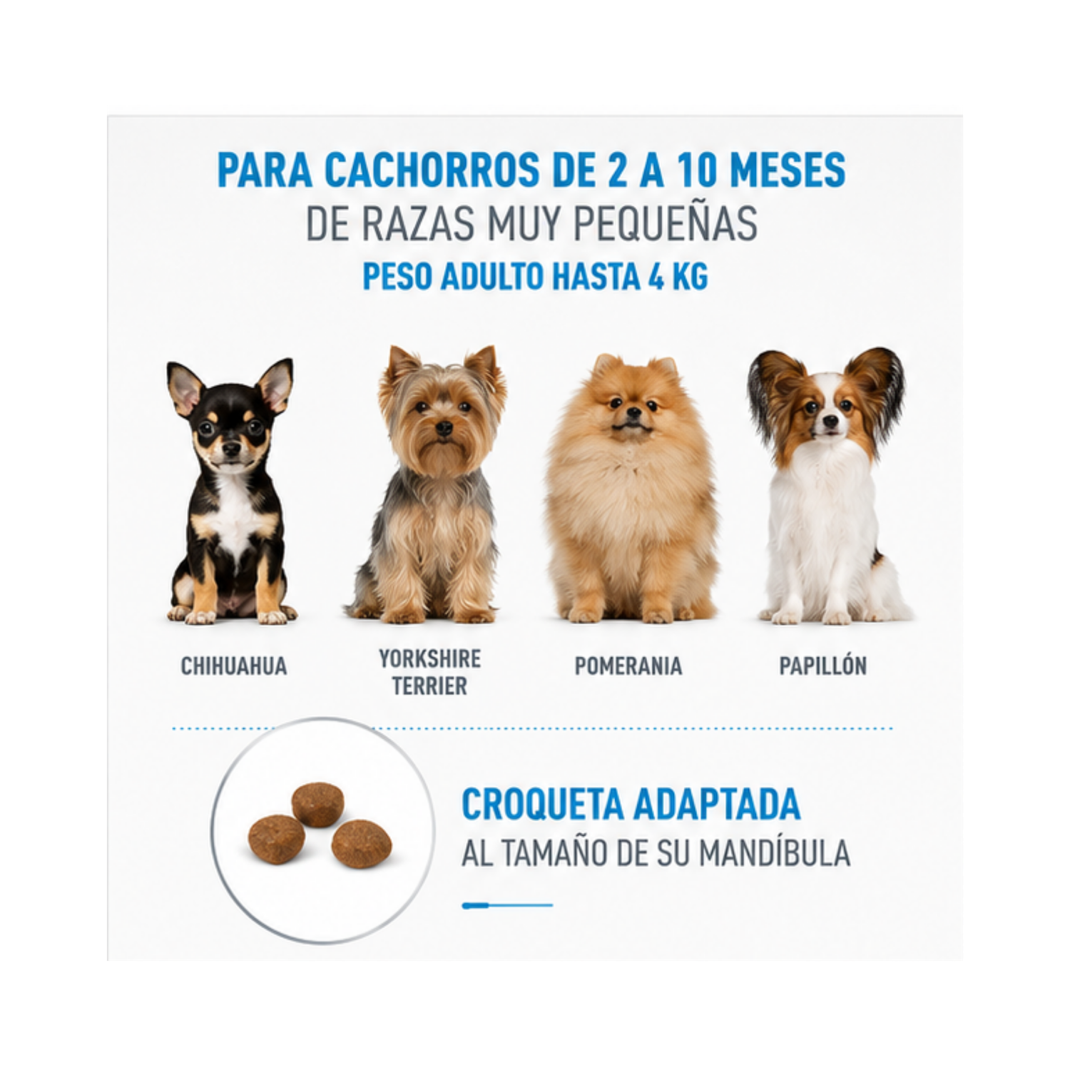 Royal Canin X-small Puppy 1 Kg.-2