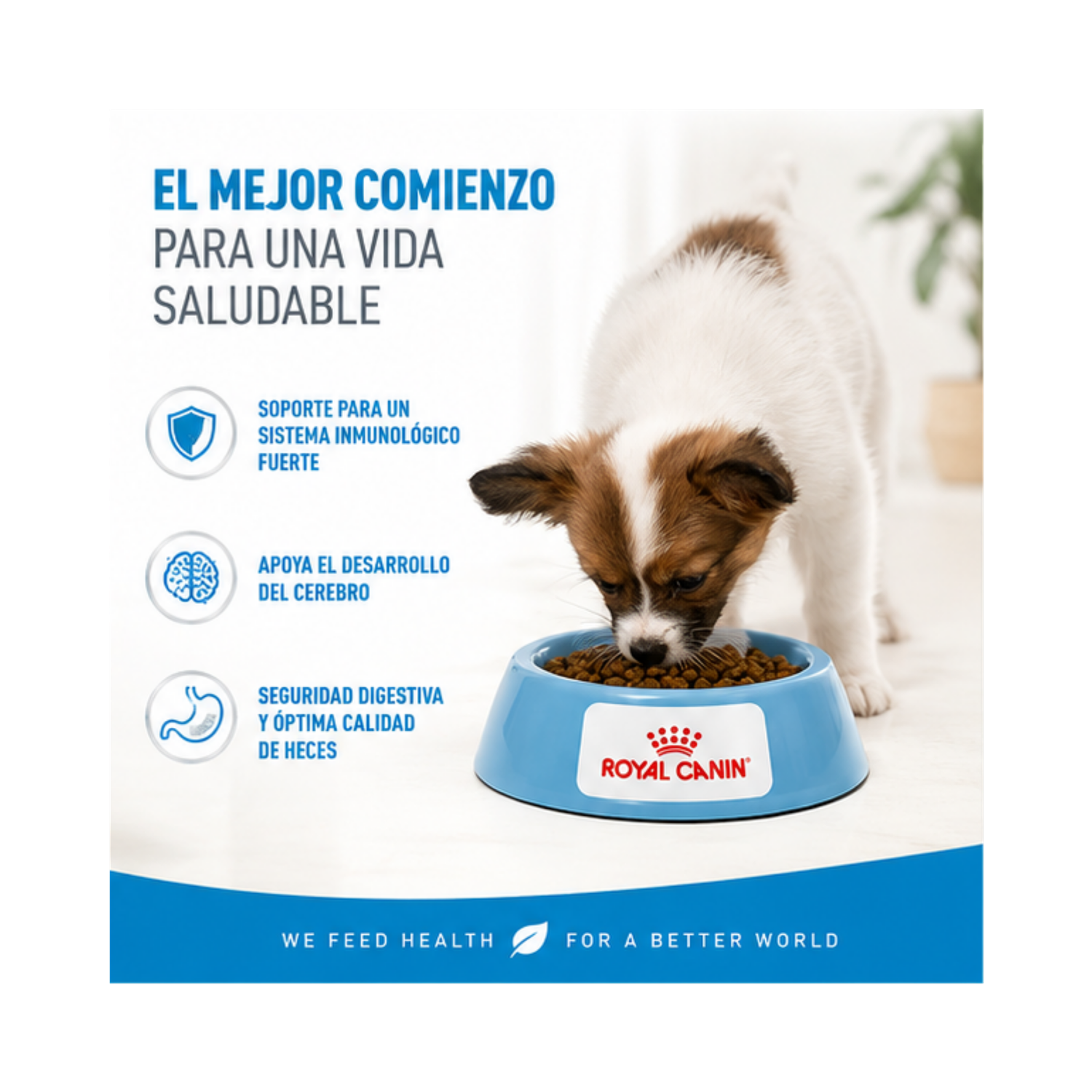 Royal Canin X-small Puppy 1 Kg.-3