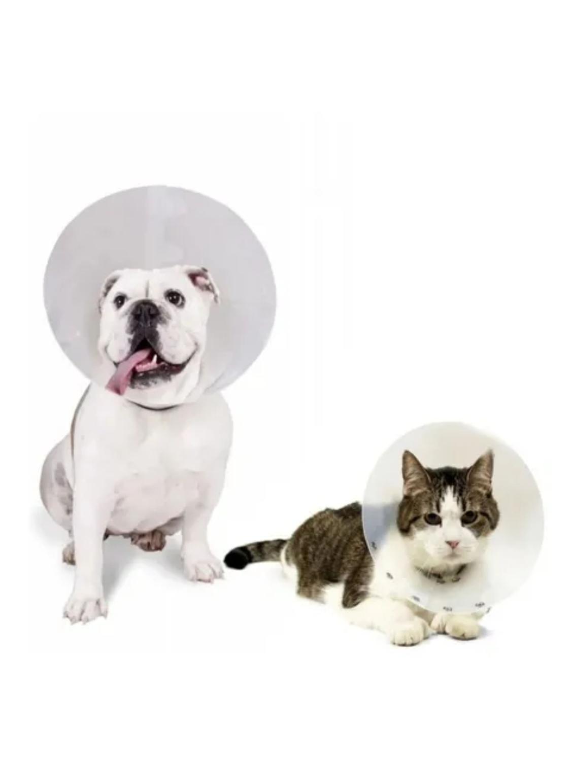 Collar Isabelino Velcro Talla 3 – 30-34 cm x 13 cm-2