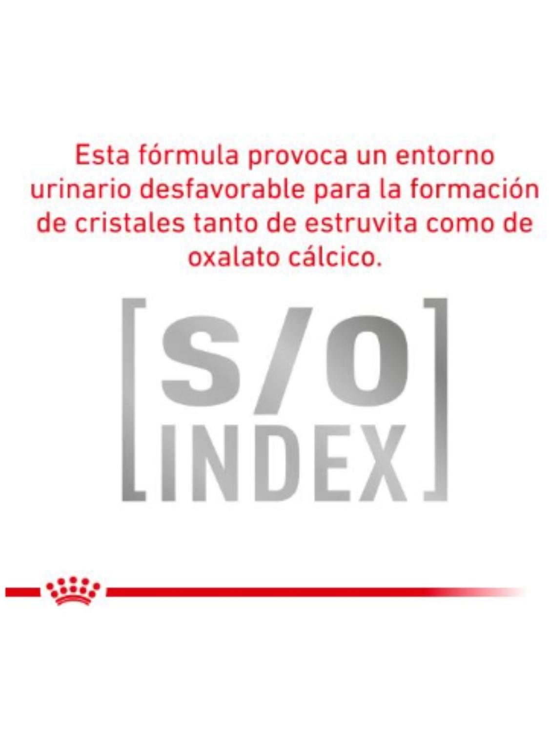 ALIMENTO ROYAL CANIN URINARY S/O FELINE 400GR-2