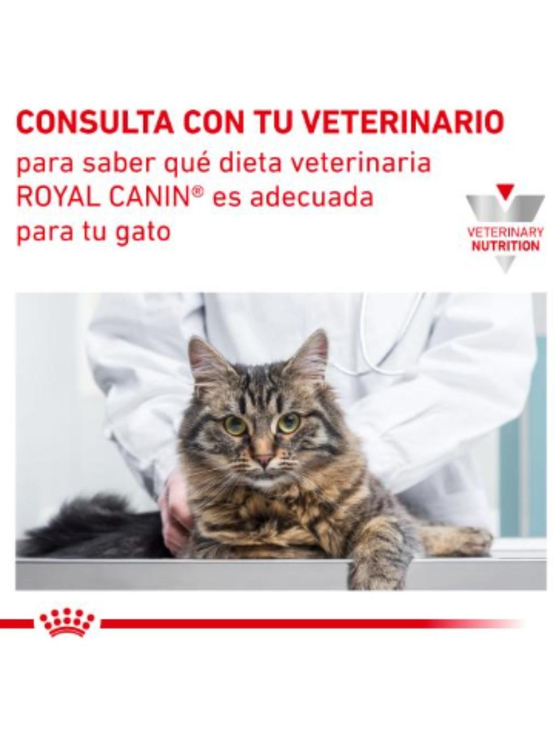 ALIMENTO ROYAL CANIN URINARY S/O FELINE 400GR-4