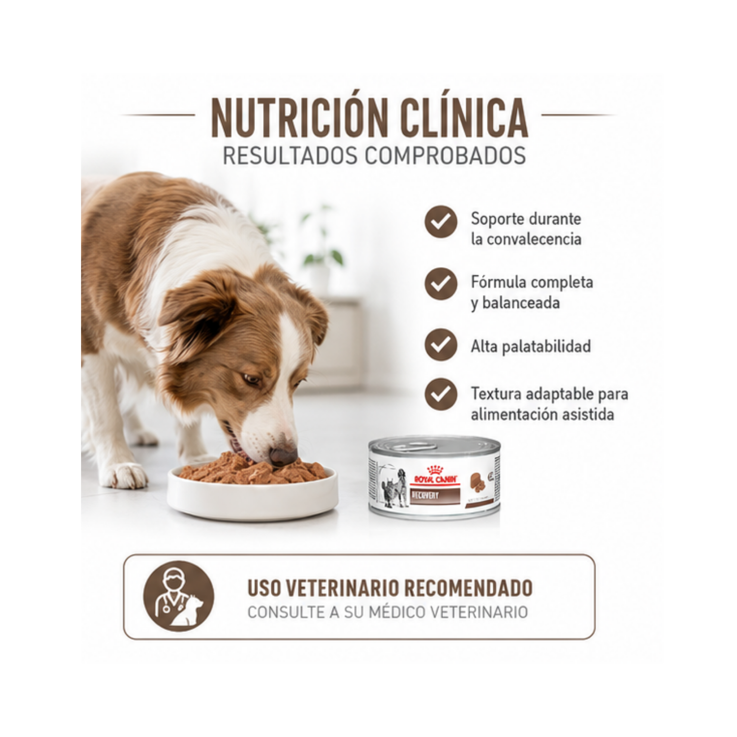 Royal Canin Recovery Para Perros Y Gatos - Lata De 145g-2