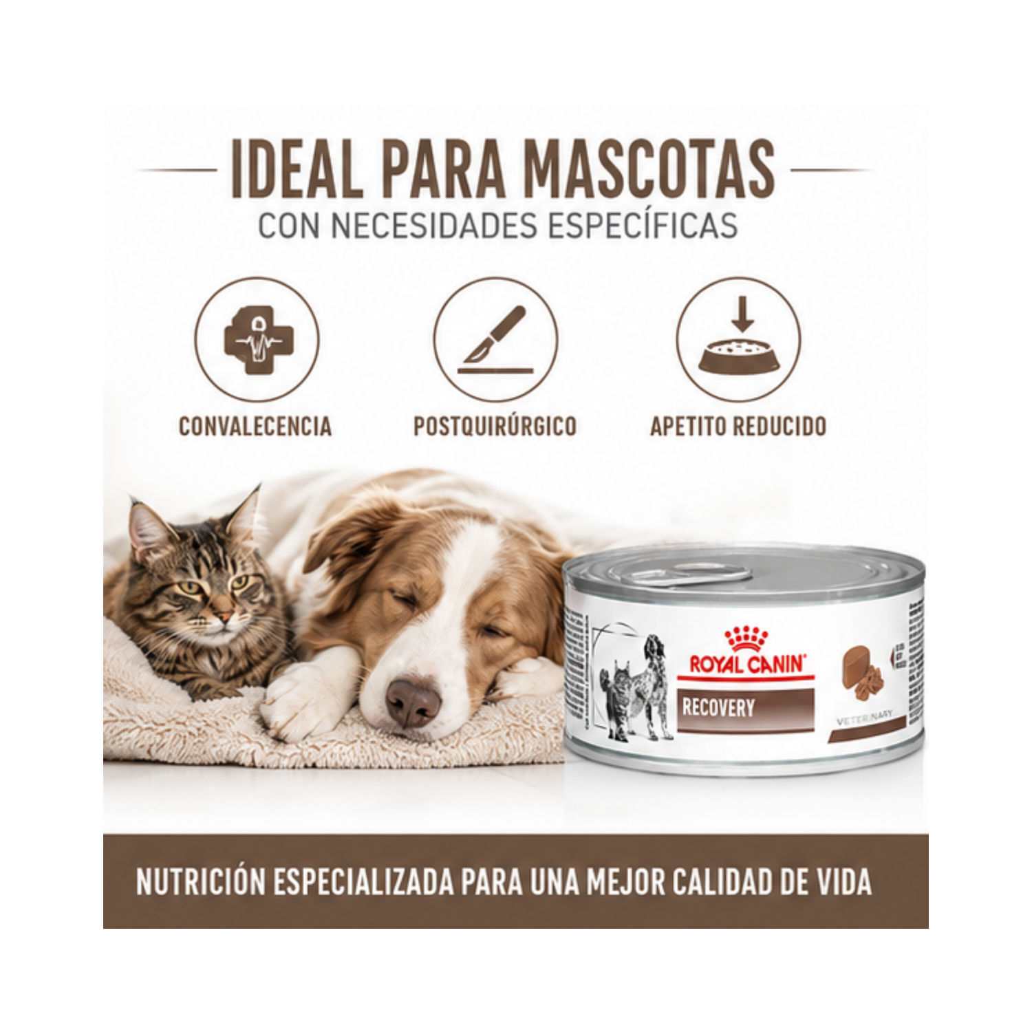 Royal Canin Recovery Para Perros Y Gatos - Lata De 145g-3