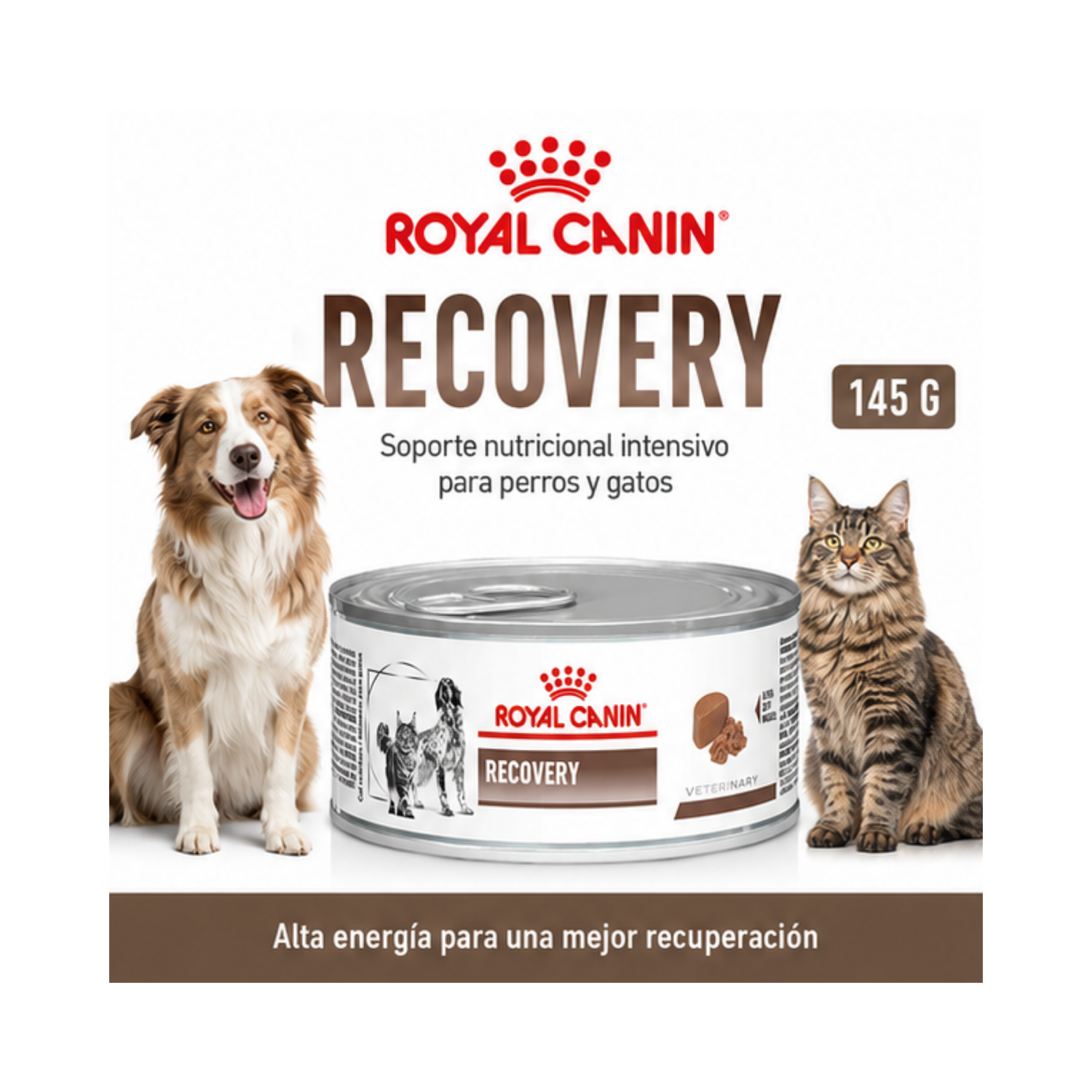 Royal Canin Recovery Para Perros Y Gatos - Lata De 145g-6