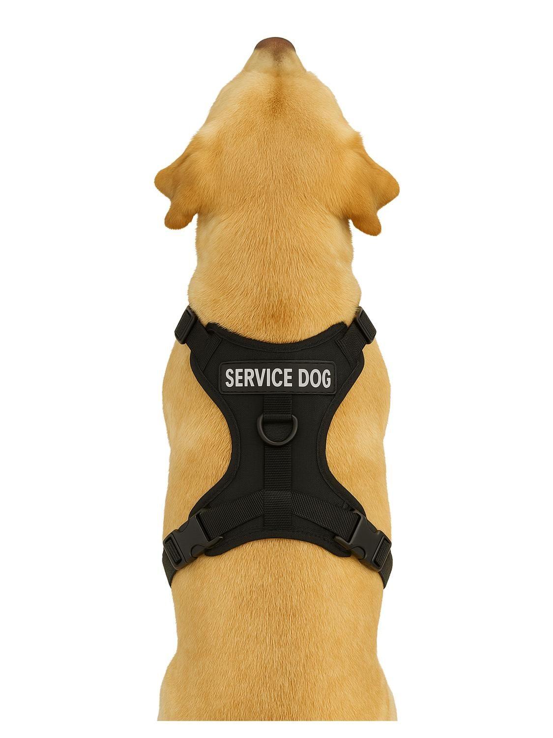Arnes para mascotas ajustable SERVICE DOG Talla L-2