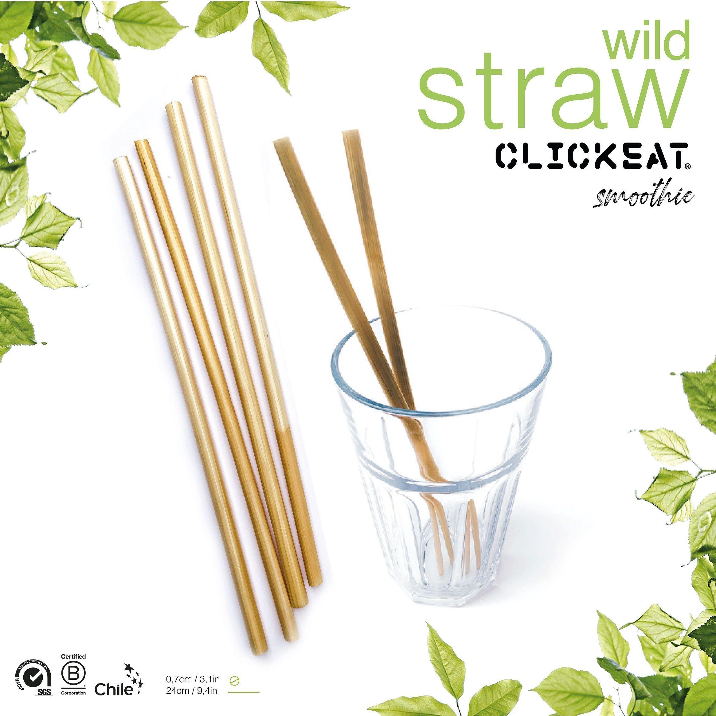 Wild Straw Smoothie-1