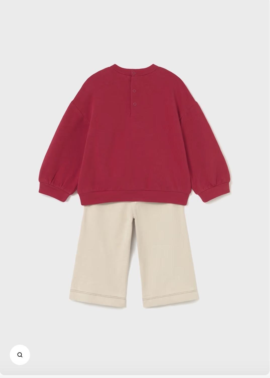 Pantalon largo Jersey con un poleron a juego con estampado en el pecho, comodo. -2