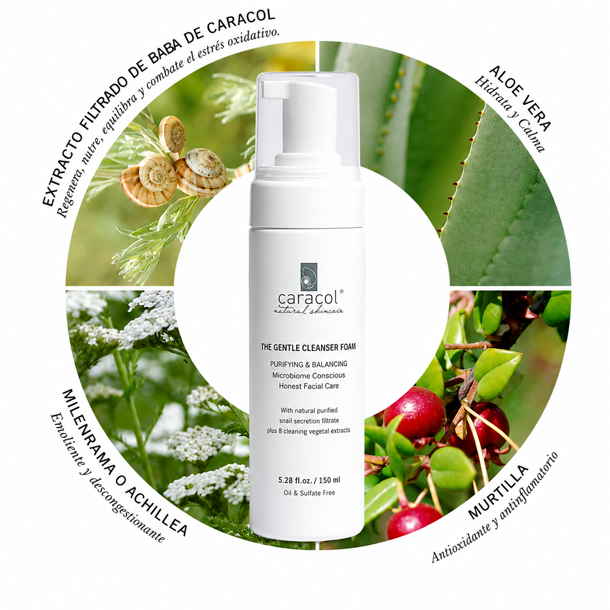 Mousse de Limpieza Facial. Caracol Natural Skincare-2