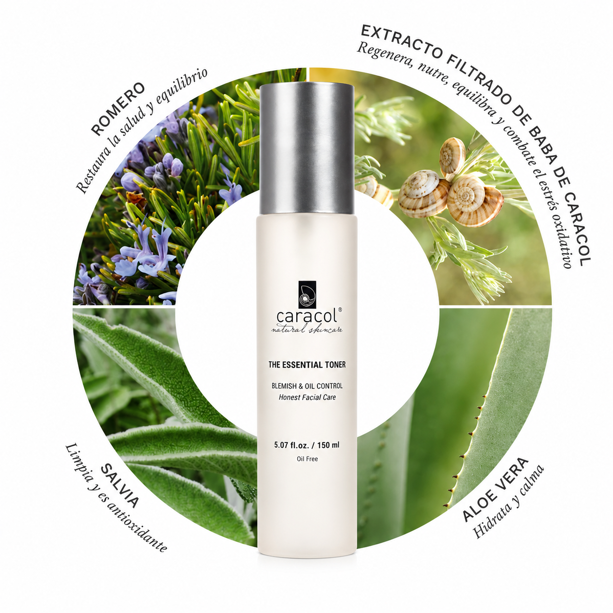 Loción Tónico Esencial. Caracol Natural Skincare-2