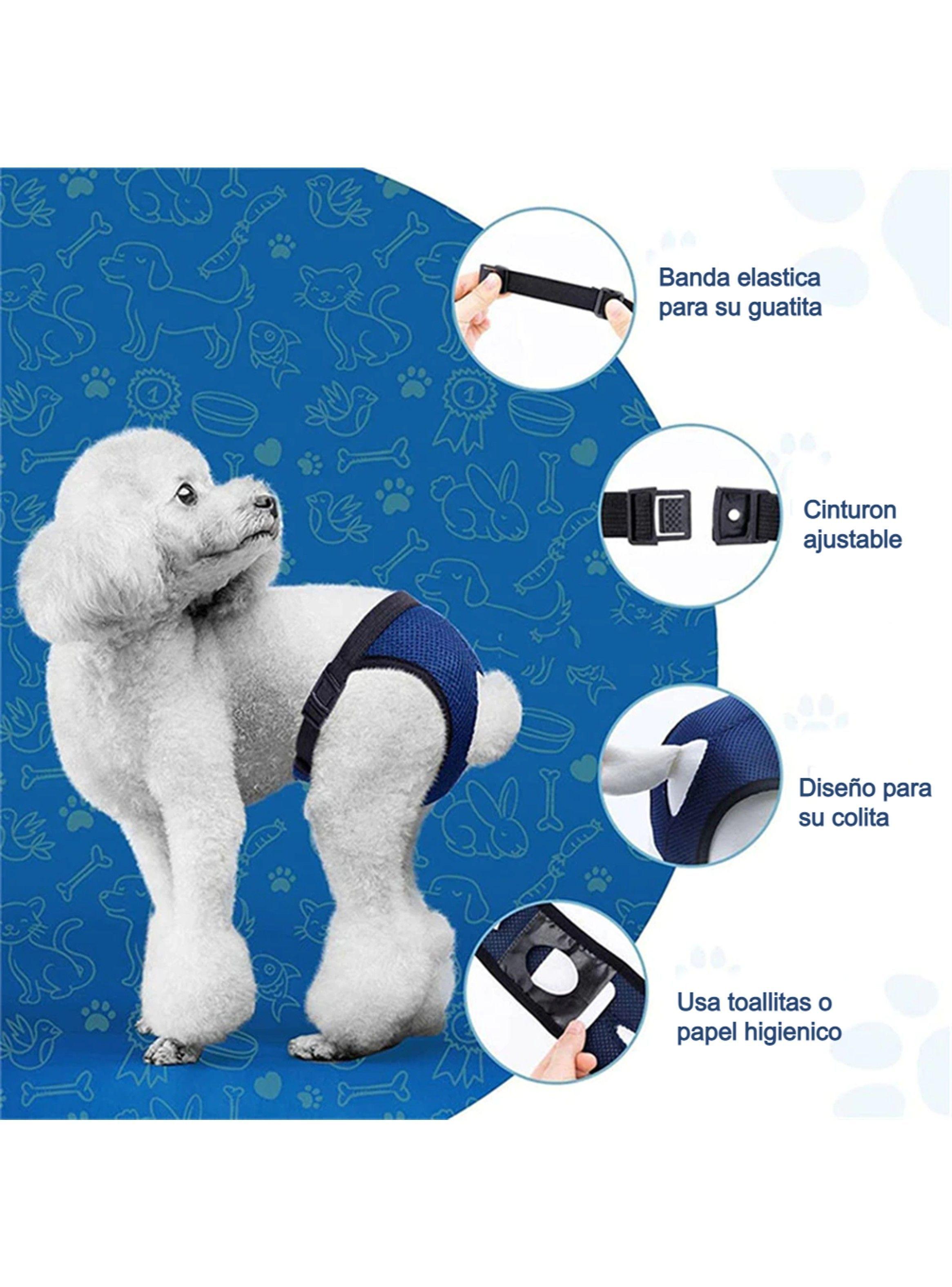 Calzones Para Celo Perritas Perras Sanitarios Transpirables Talla S - XL-2