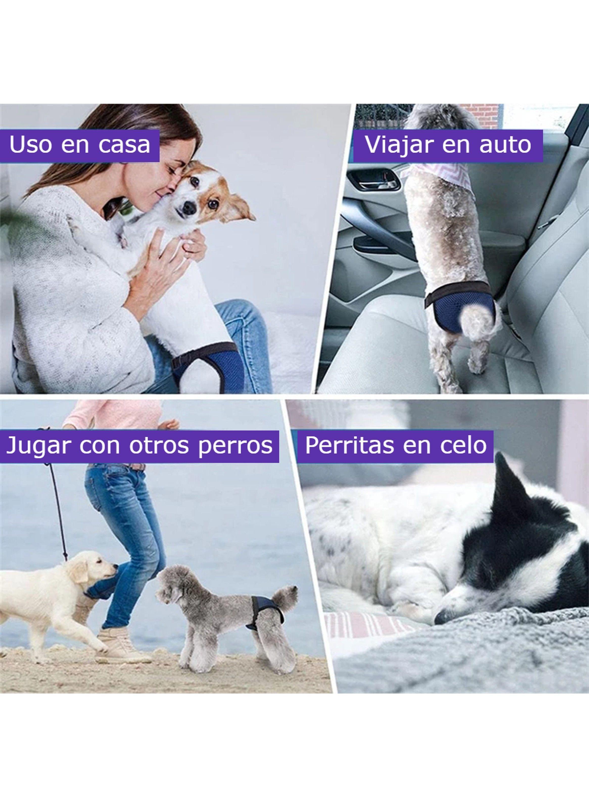Calzones Para Celo Perritas Perras Sanitarios Transpirables Talla S - XL-3