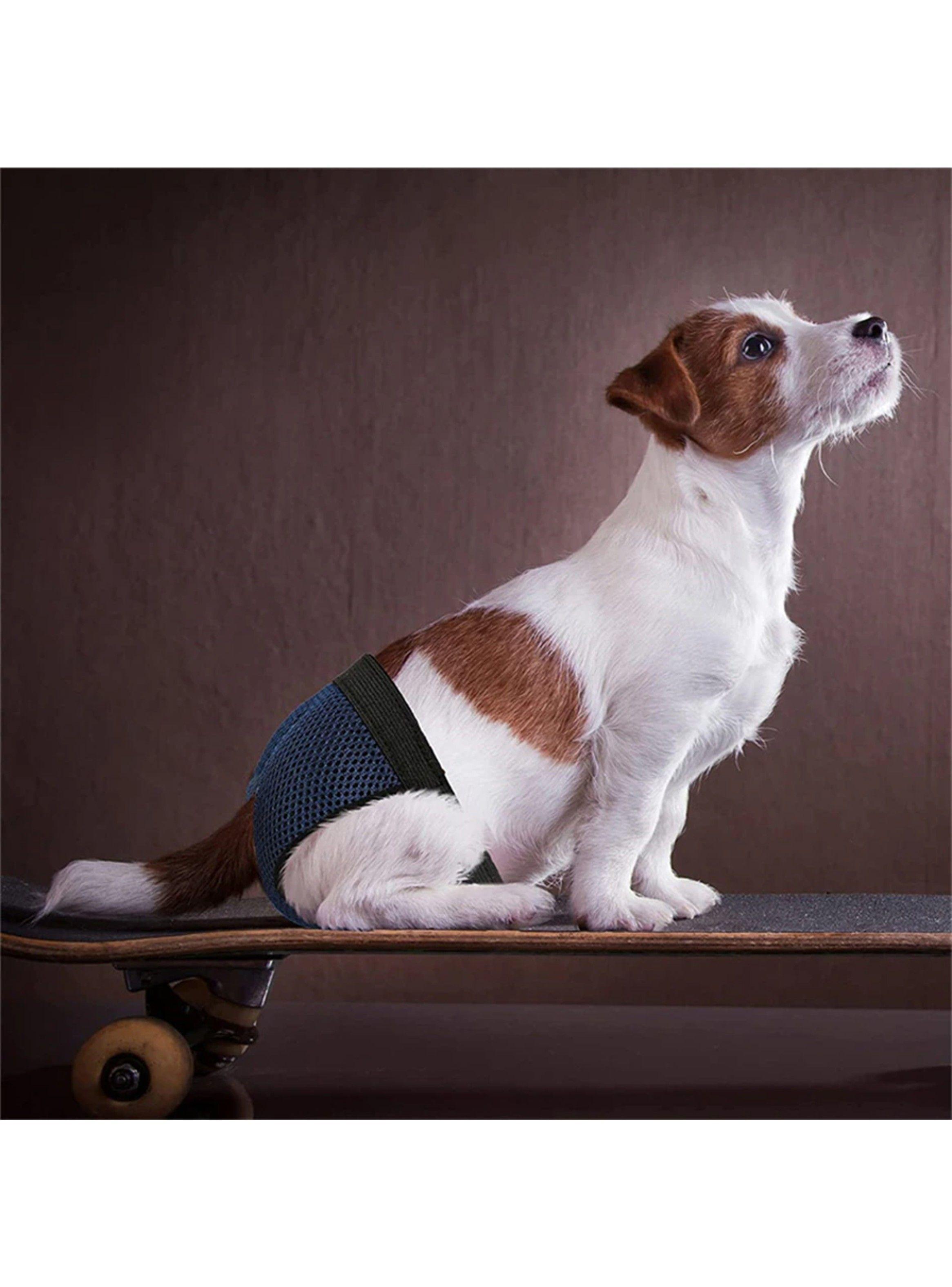 Calzones Para Celo Perritas Perras Sanitarios Transpirables Talla S - XL-5