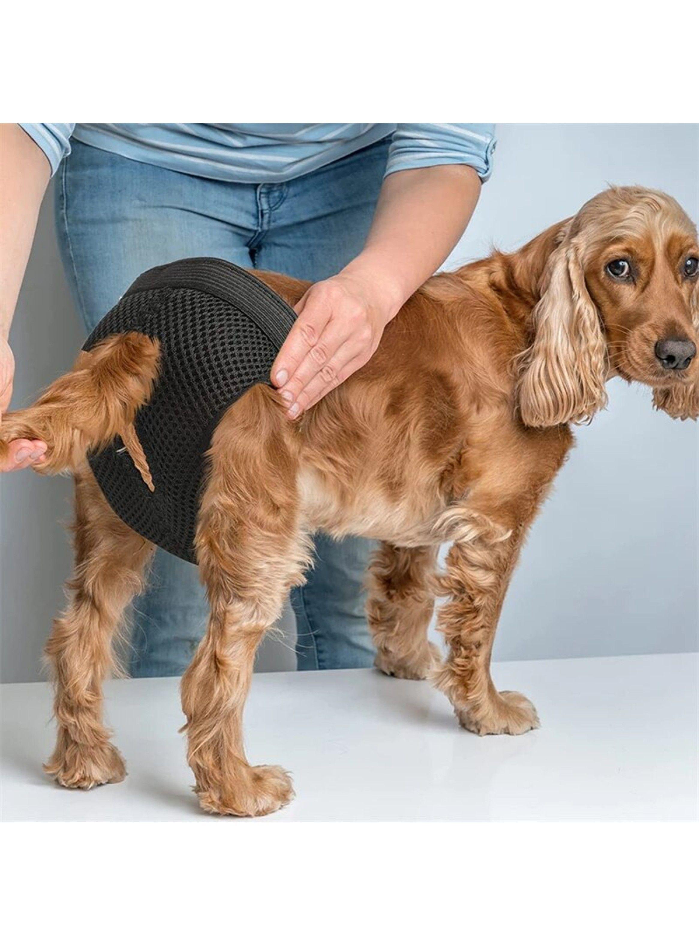 Calzones Para Celo Perritas Perras Sanitarios Transpirables Talla S - XL-6