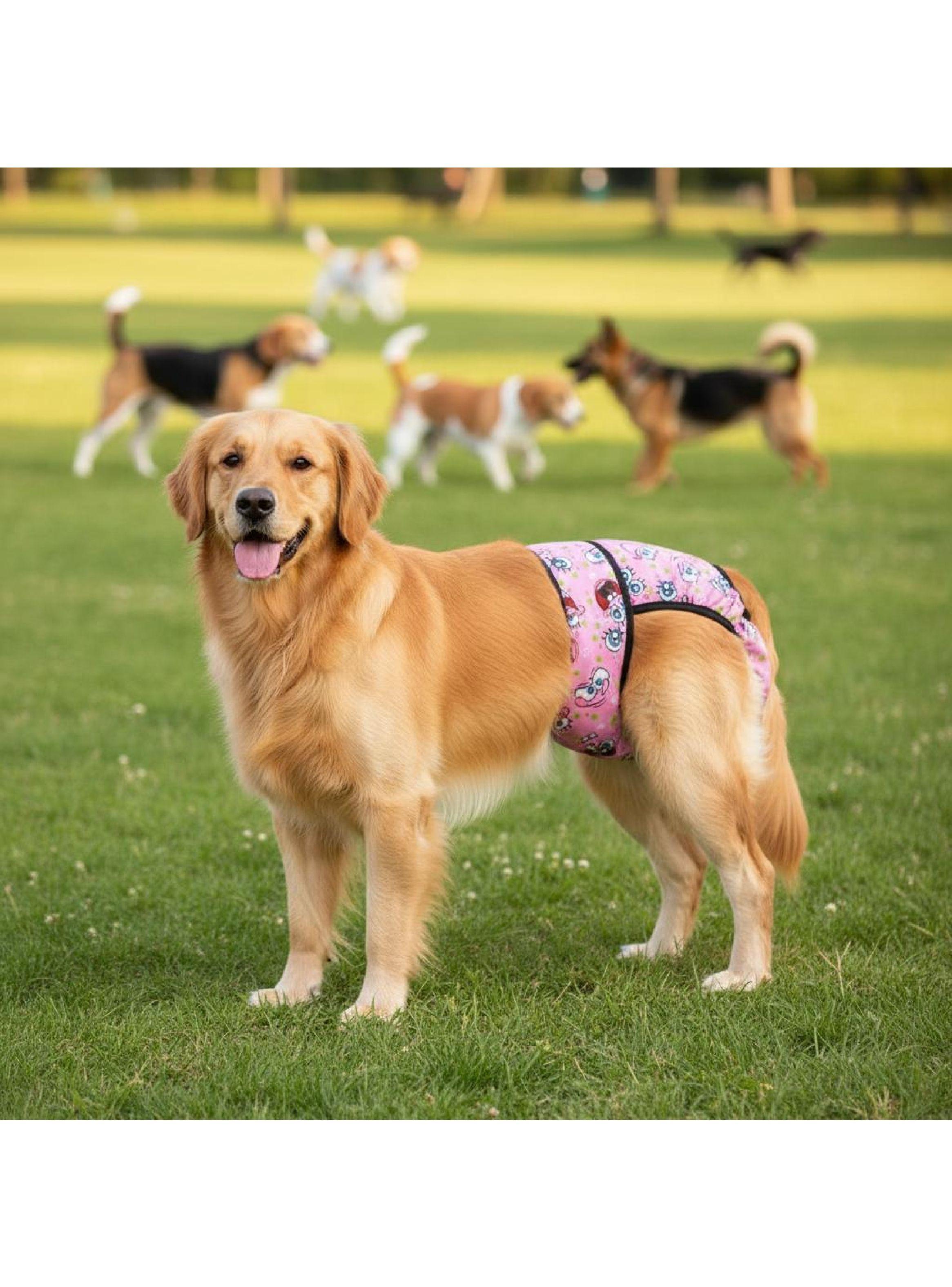 Calzones Para Celo Perritas Sanitarios Pipi Talla XS - XXL-3