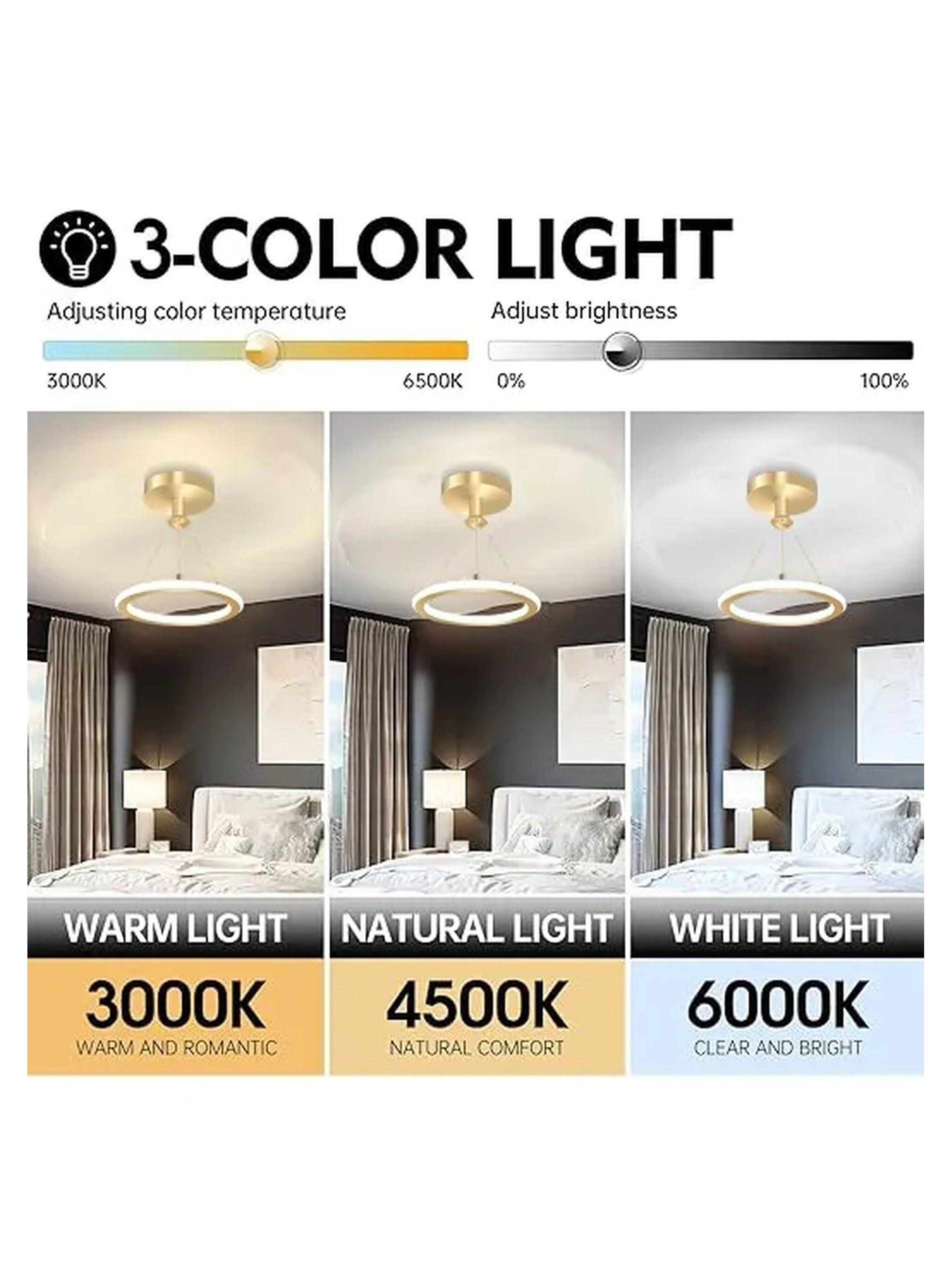 Lámpara de Techo LED 19W Regulable 3 Tonos de Luz-2