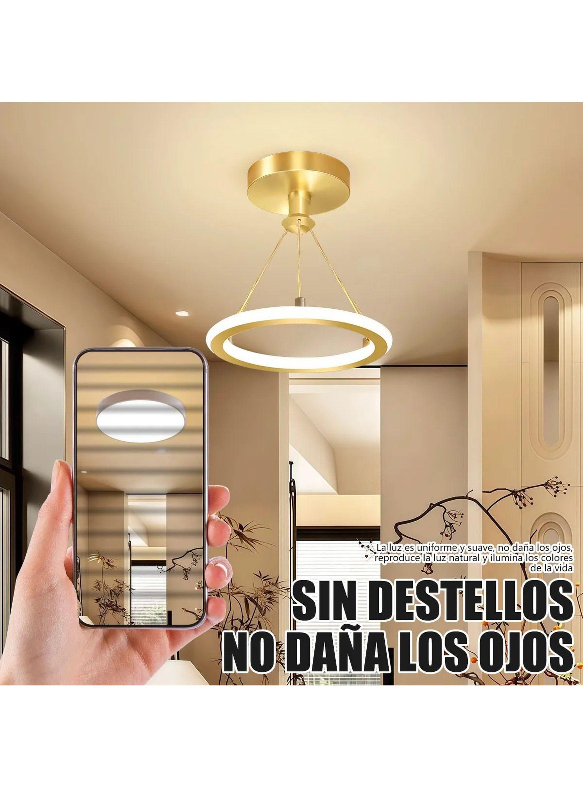 Lámpara de Techo LED 19W Regulable 3 Tonos de Luz-3