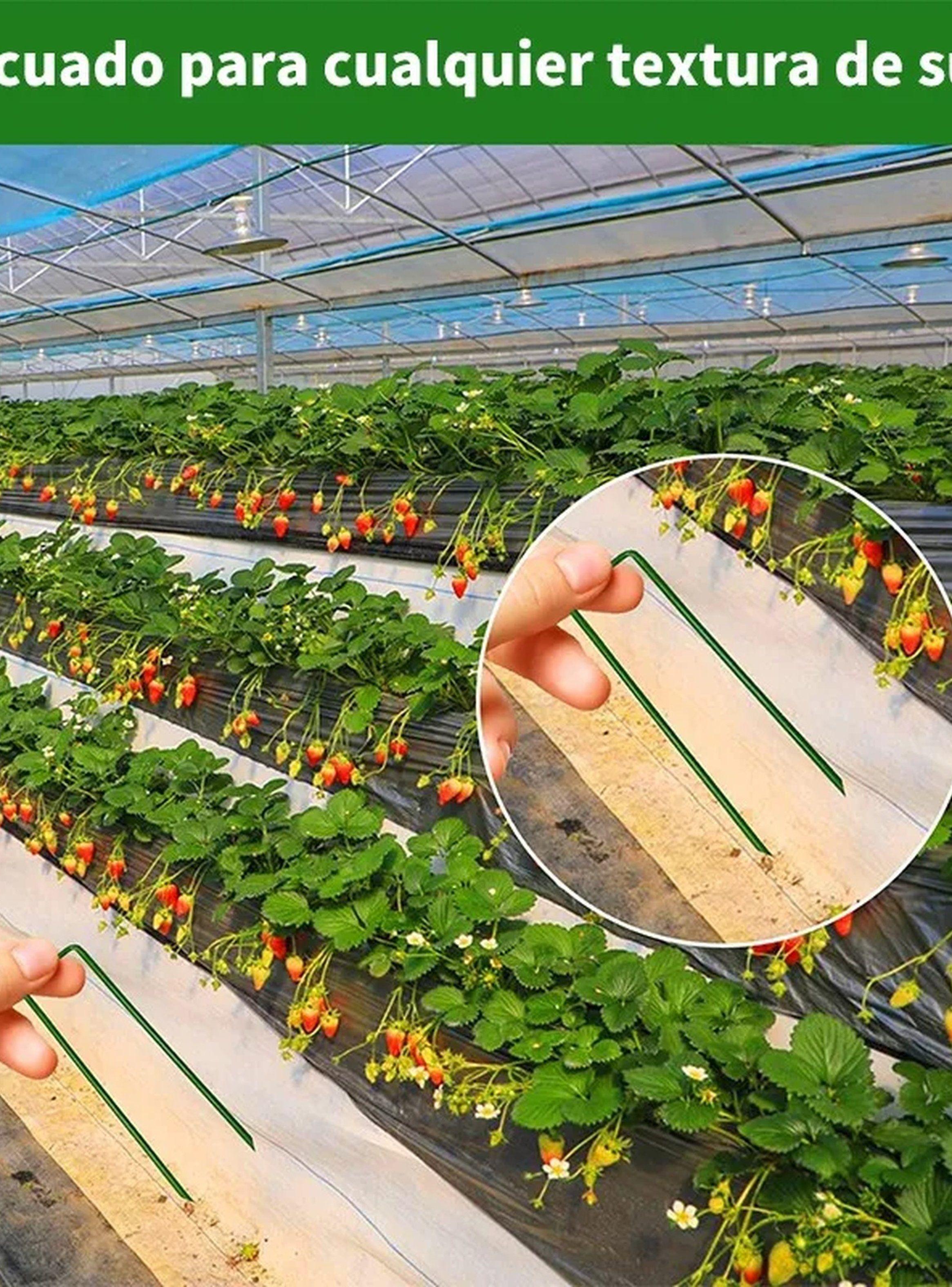 Ganchos para Jardín de Acero Galvanizado Verde 15cm-2