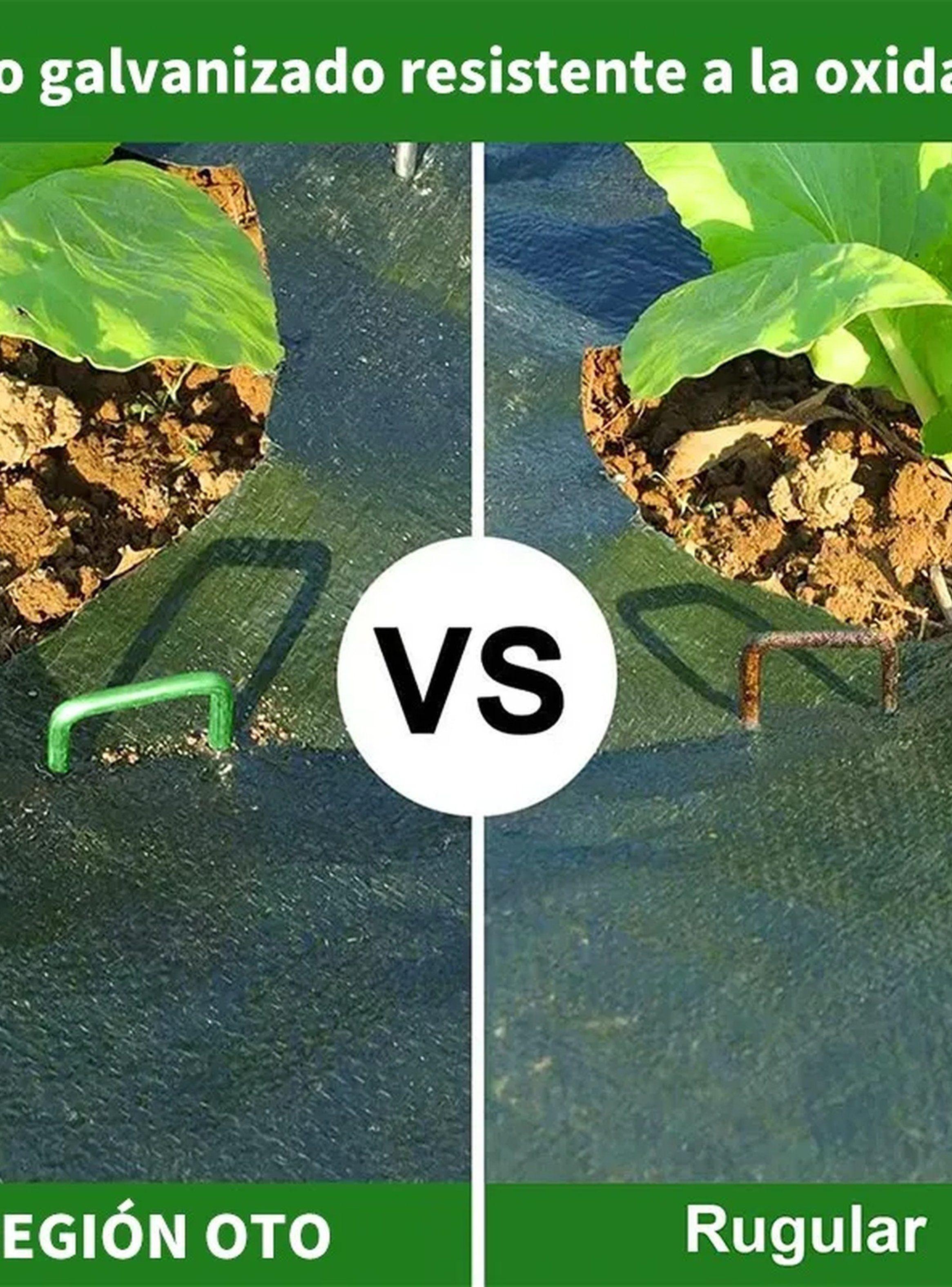 Ganchos para Jardín de Acero Galvanizado Verde 15cm-3