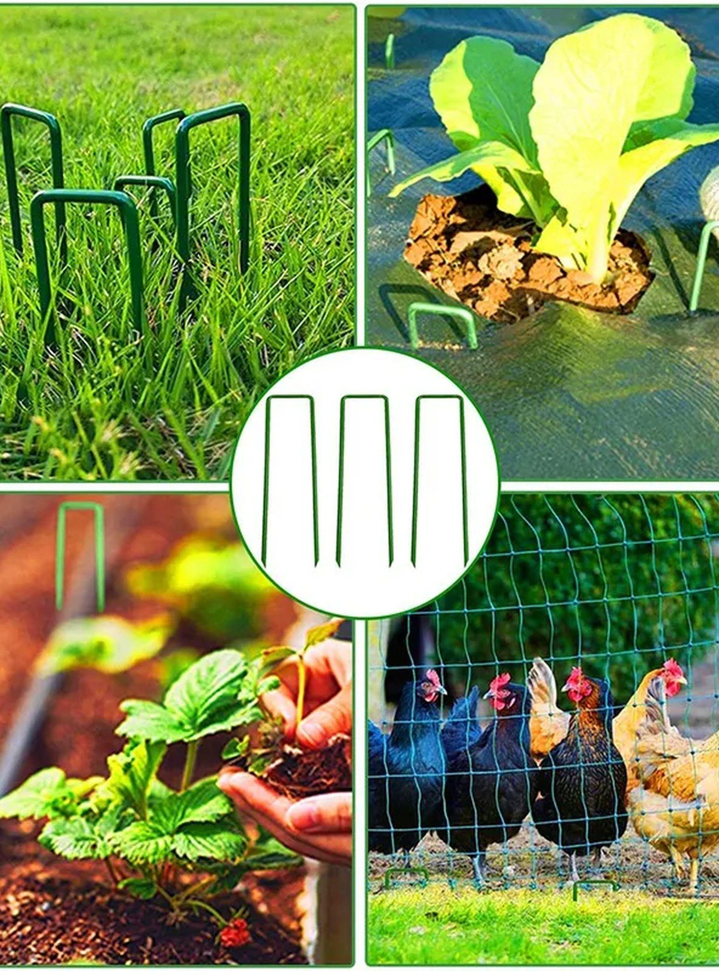 Ganchos para Jardín de Acero Galvanizado Verde 15cm-6