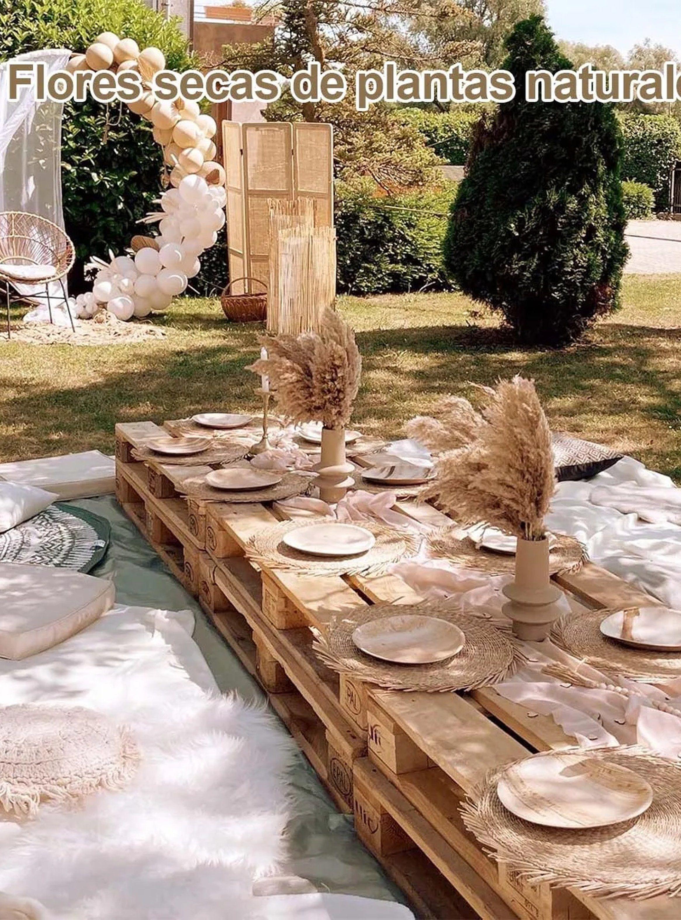 Ramas Decorativas de Pampas Naturales Beige 45cm-4