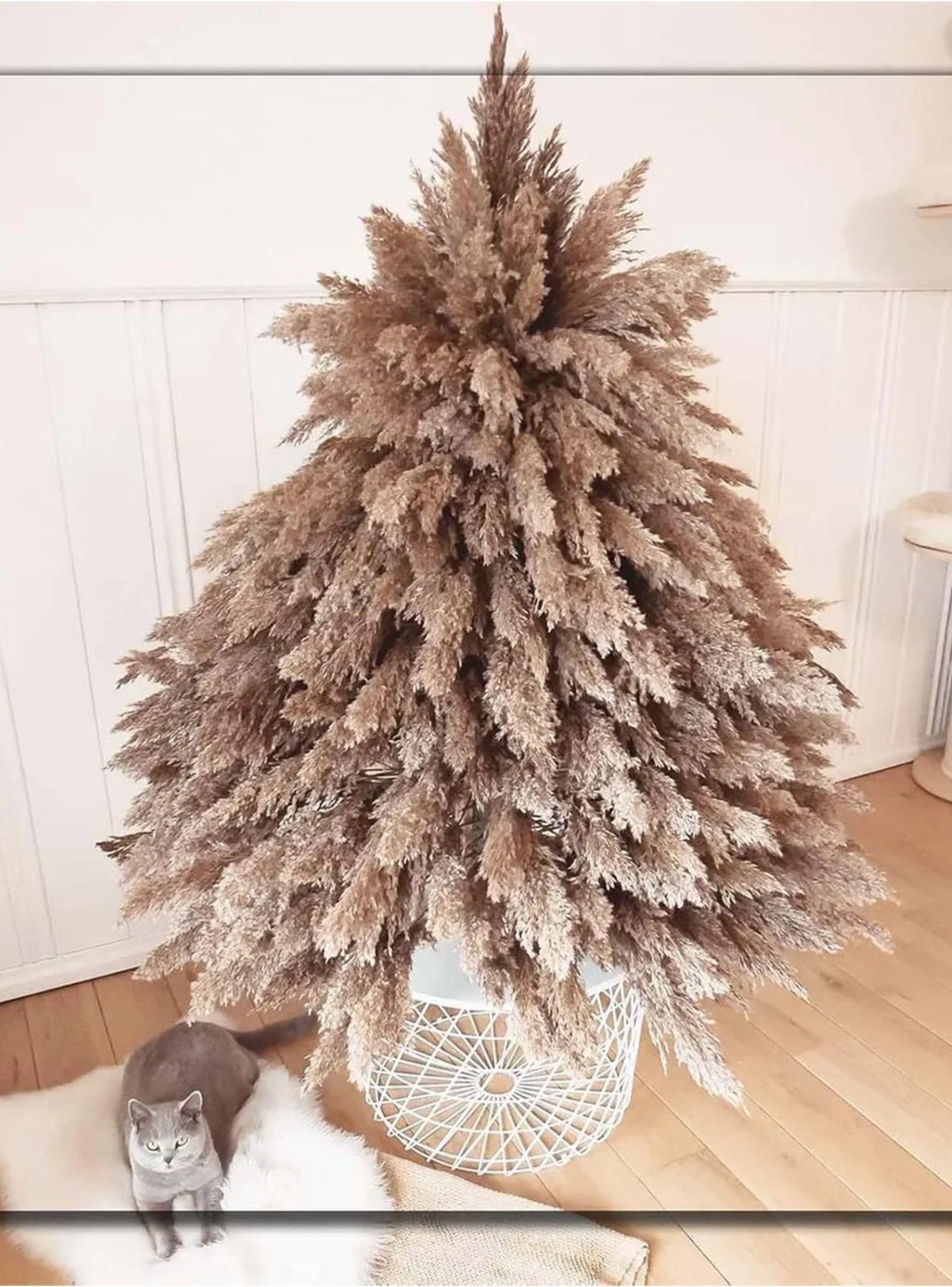 Ramas Decorativas de Pampas Naturales Beige 45cm-6