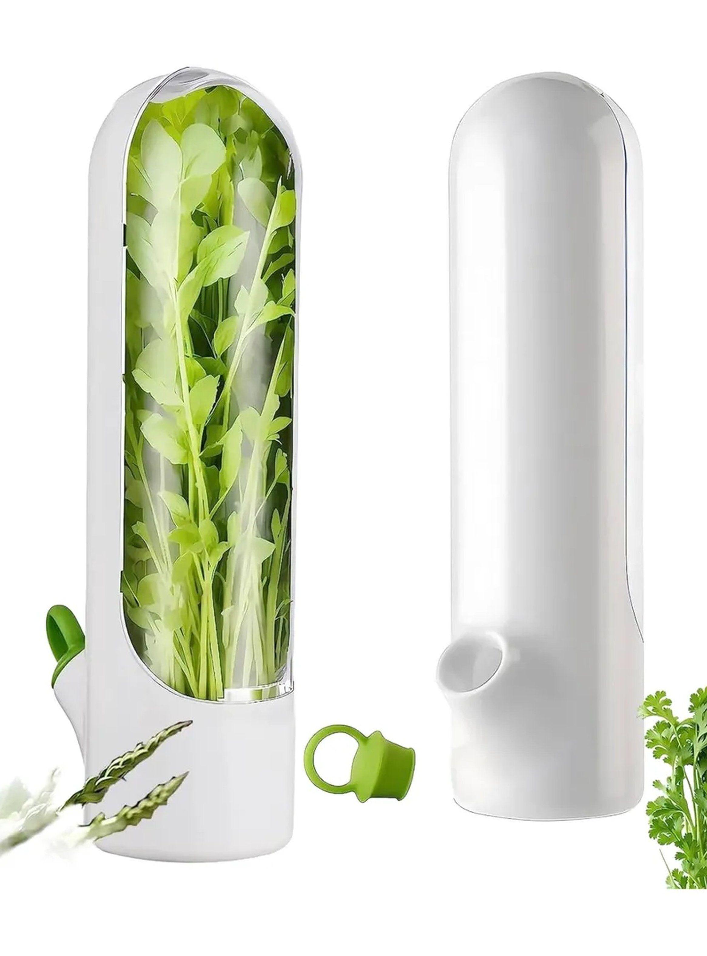 Contenedor de Hierbas Frescas Hermético Blanco-2