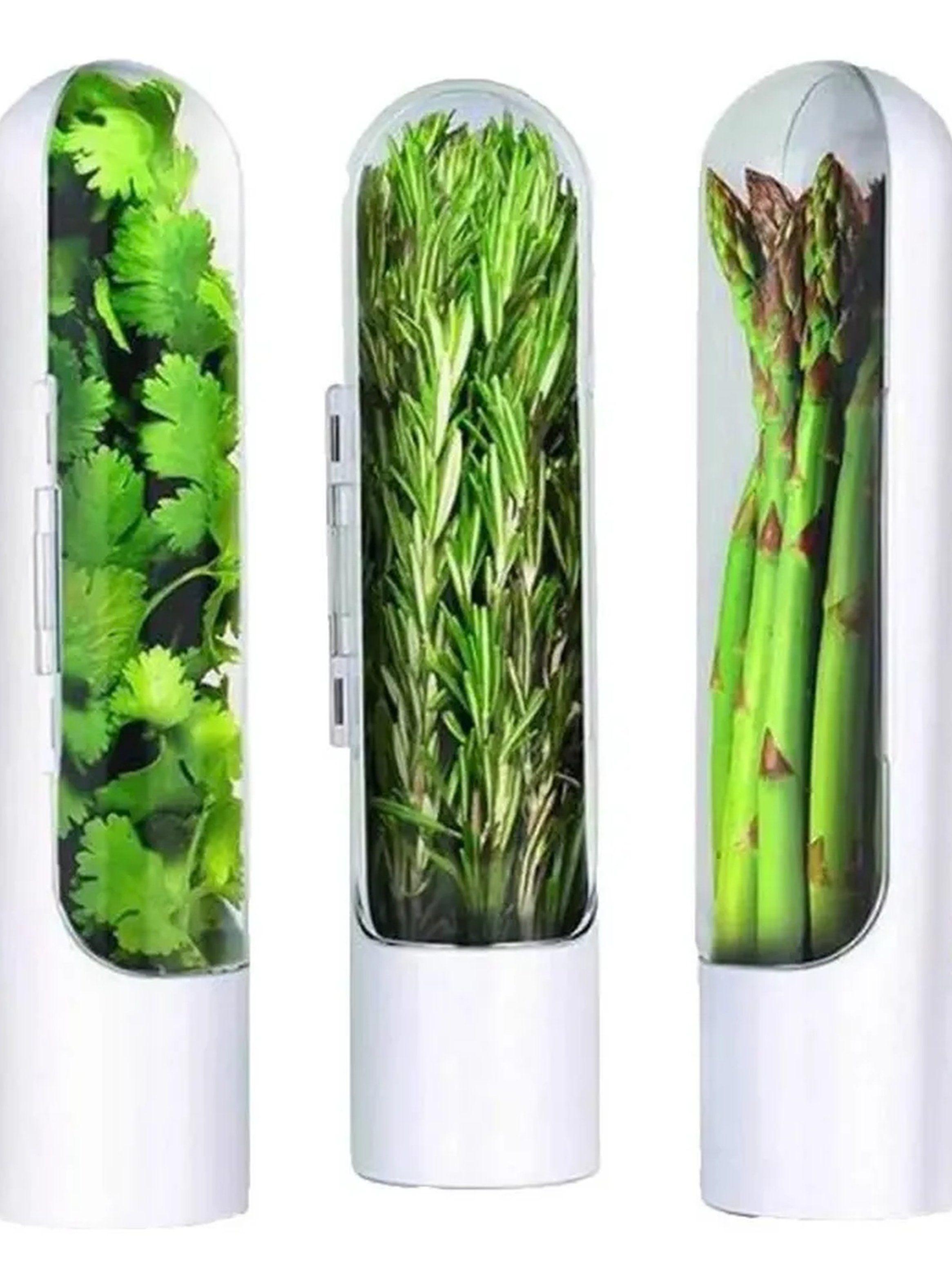 Contenedor de Hierbas Frescas Hermético Blanco-3