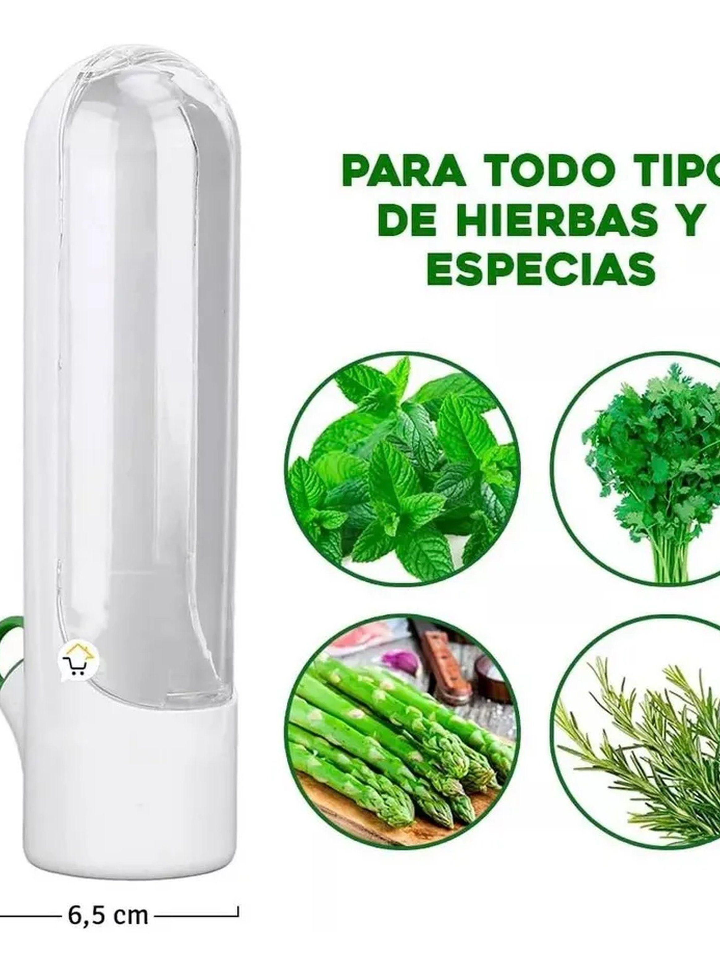 Contenedor de Hierbas Frescas Hermético Blanco-4